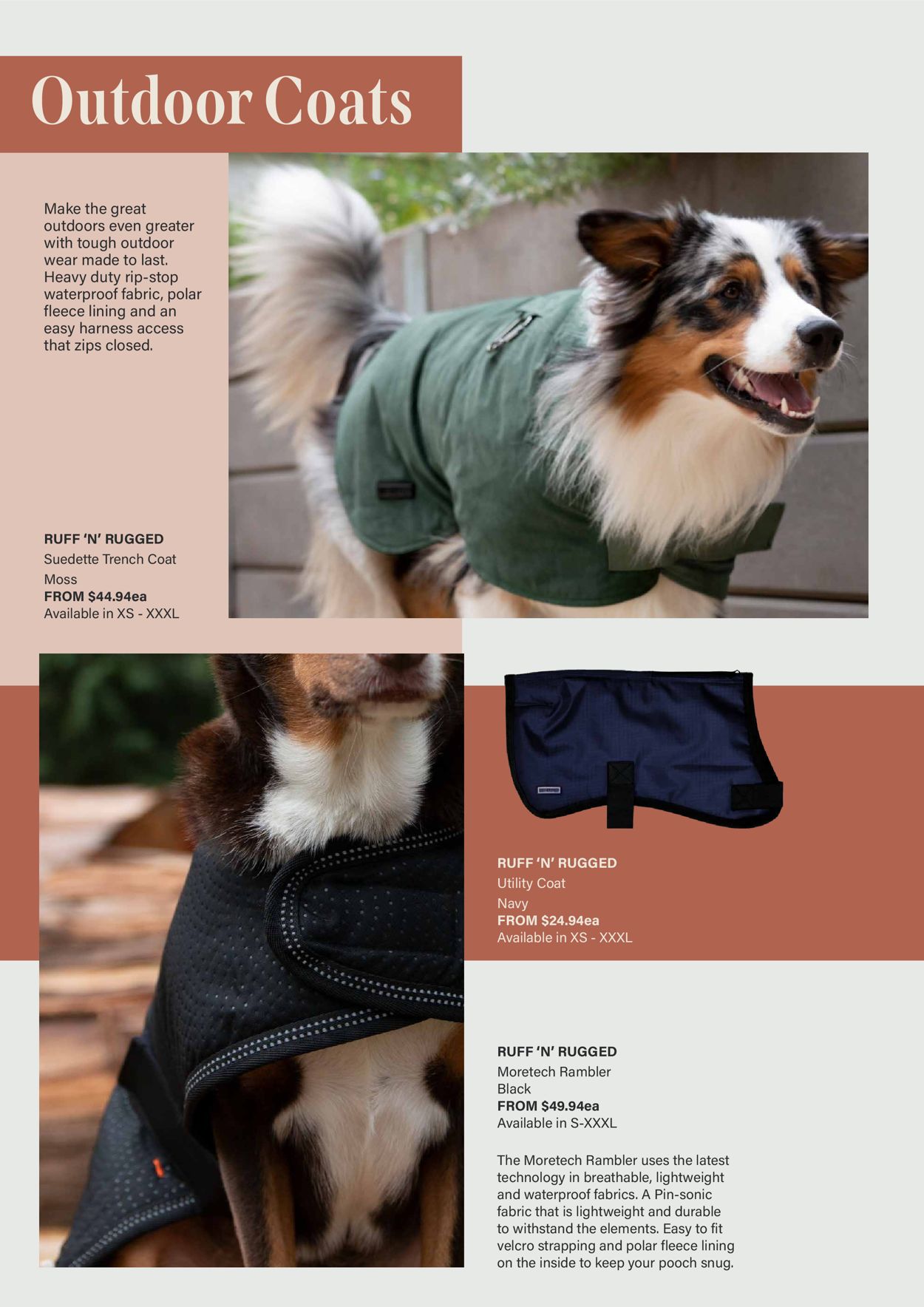 Pet Stock Catalogue - 02/04-31/08/2022 (Page 11)