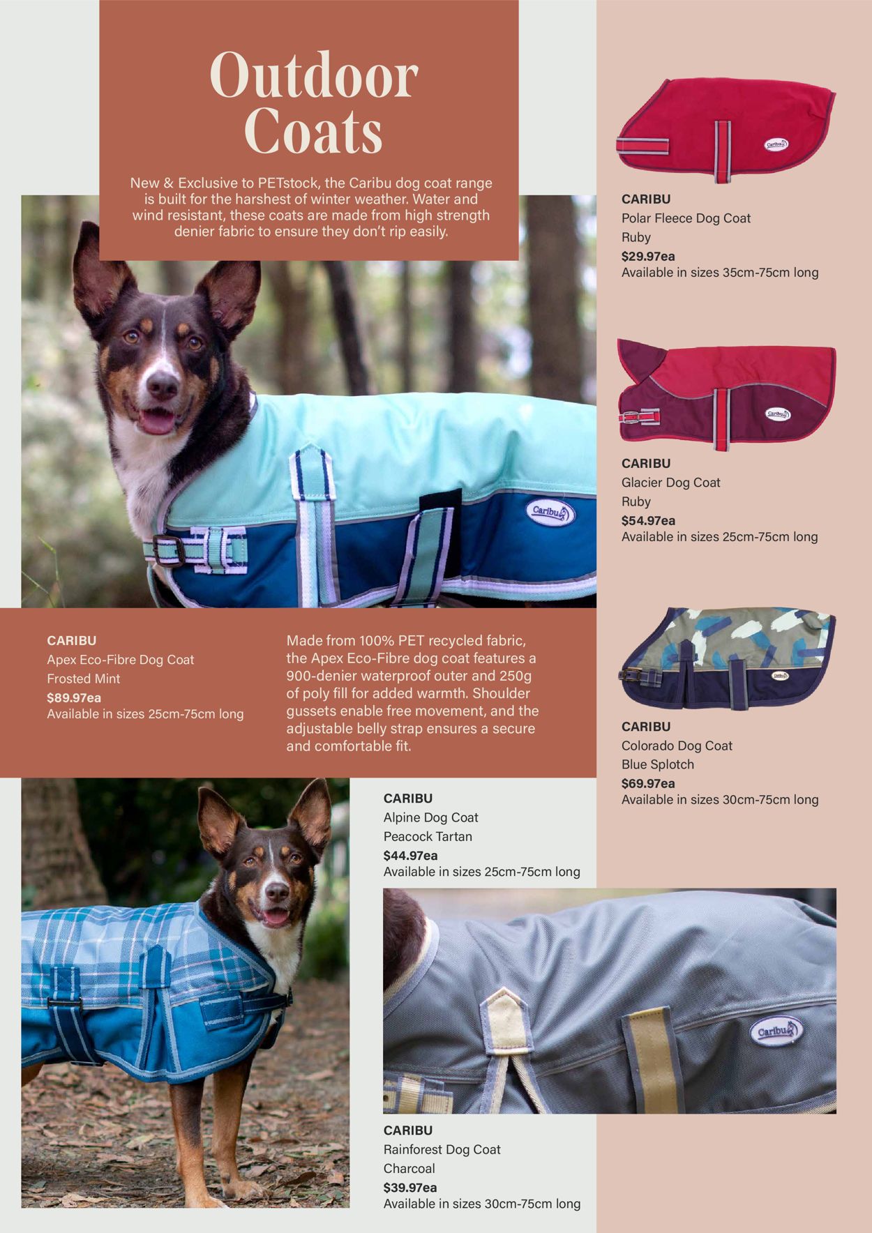 Pet Stock Catalogue - 02/04-31/08/2022 (Page 14)