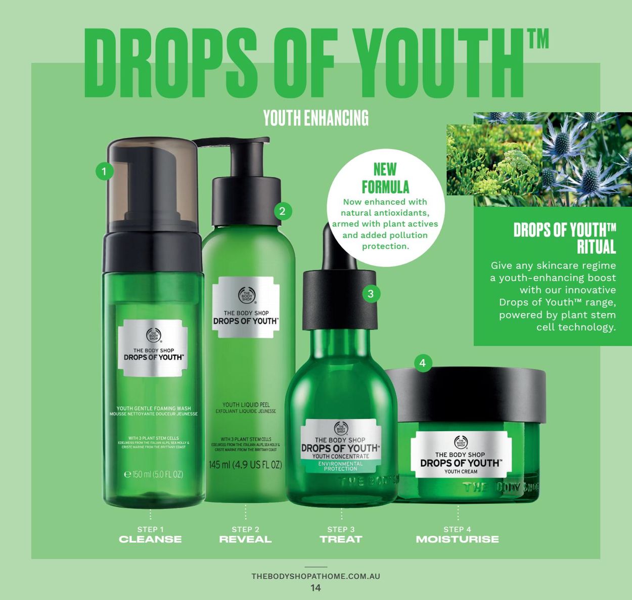 The Body Shop Catalogue - 31/12-31/03/2020 (Page 14)