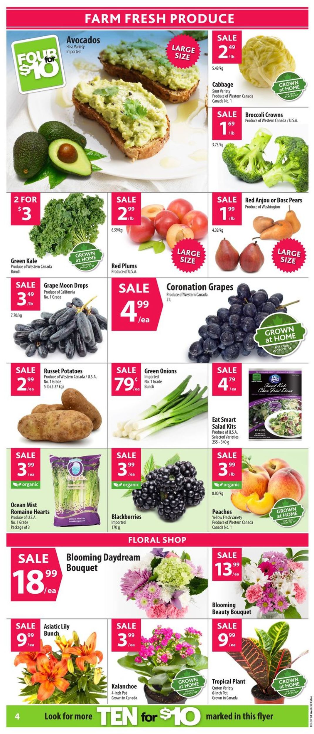 Calgary Co-op Flyer - 09/19-09/25/2019 (Page 5)