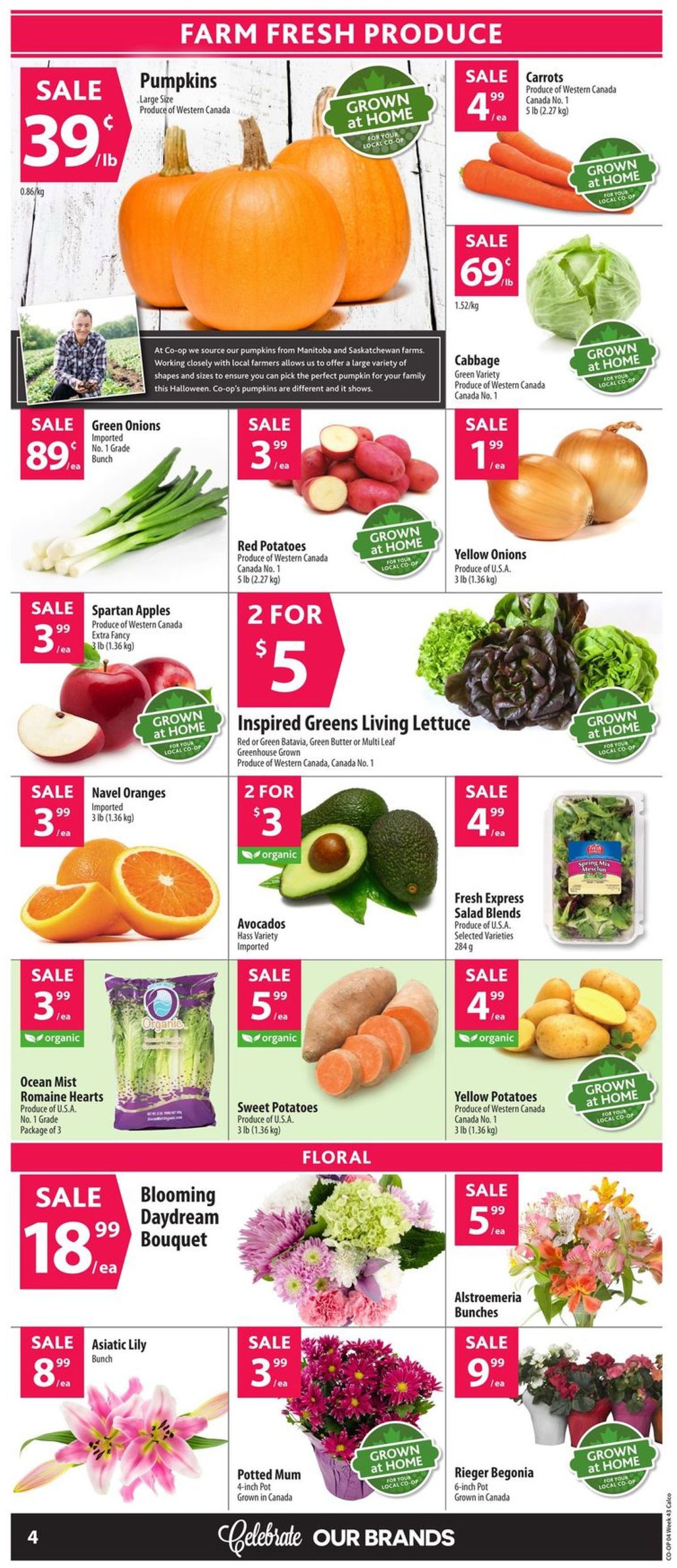 Calgary Co-op Flyer - 10/17-10/23/2019 (Page 6)