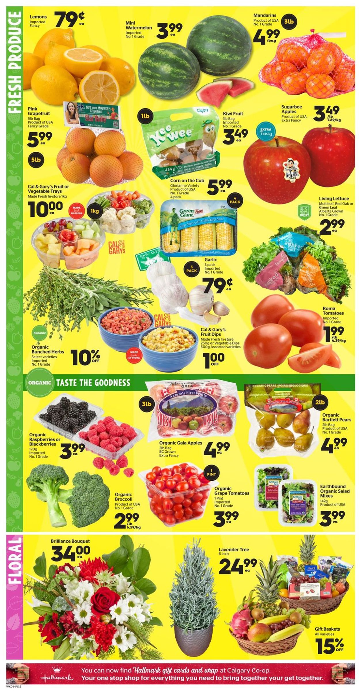 Calgary Co-op - Black Friday 2020 Flyer - 11/26-12/02/2020 (Page 2)