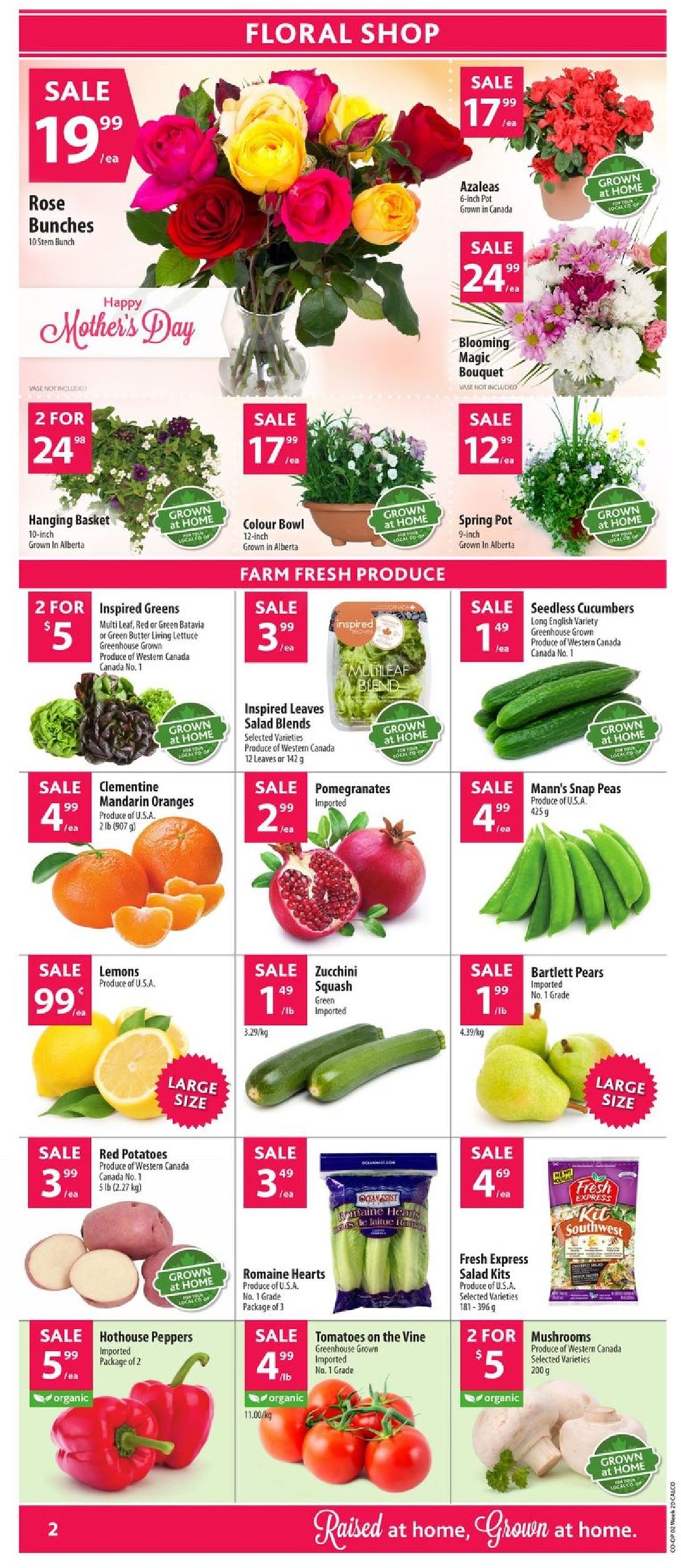 Calgary Co-op Flyer - 05/09-05/15/2019 (Page 3)