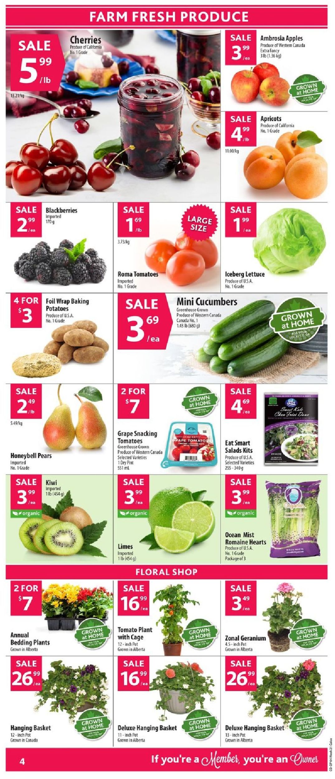 Calgary Co-op Flyer - 05/16-05/22/2019 (Page 5)
