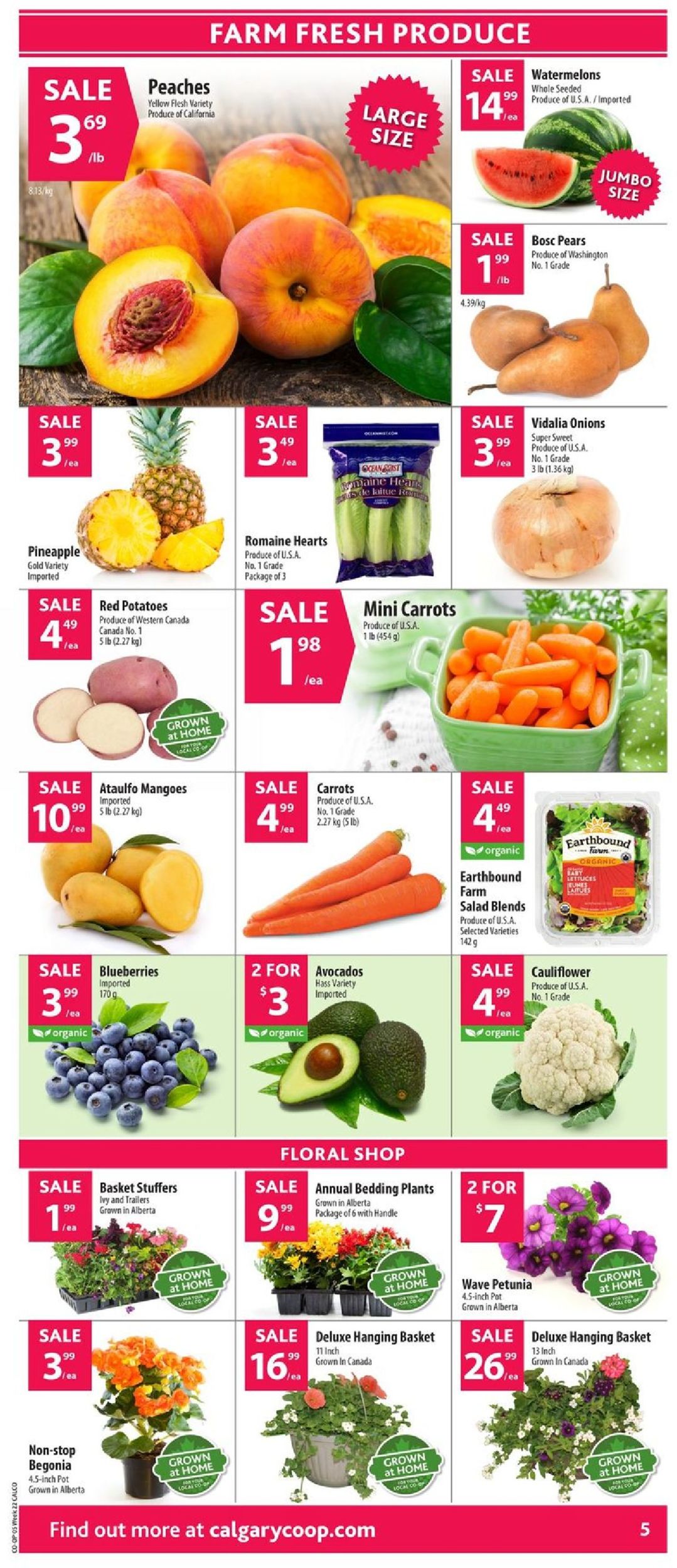 Calgary Co-op Flyer - 05/23-05/29/2019 (Page 8)