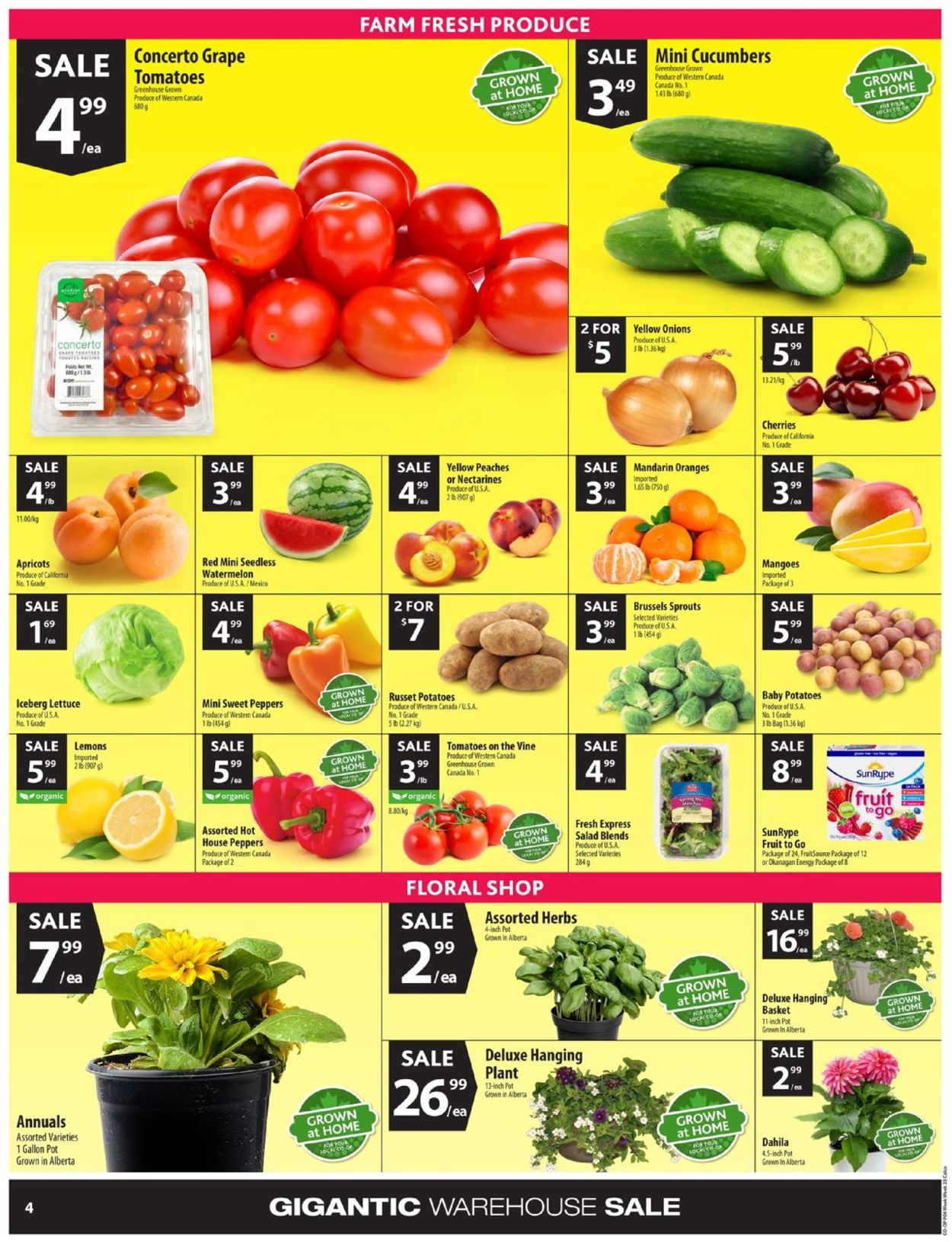 Calgary Co-op Flyer - 05/30-06/05/2019 (Page 5)