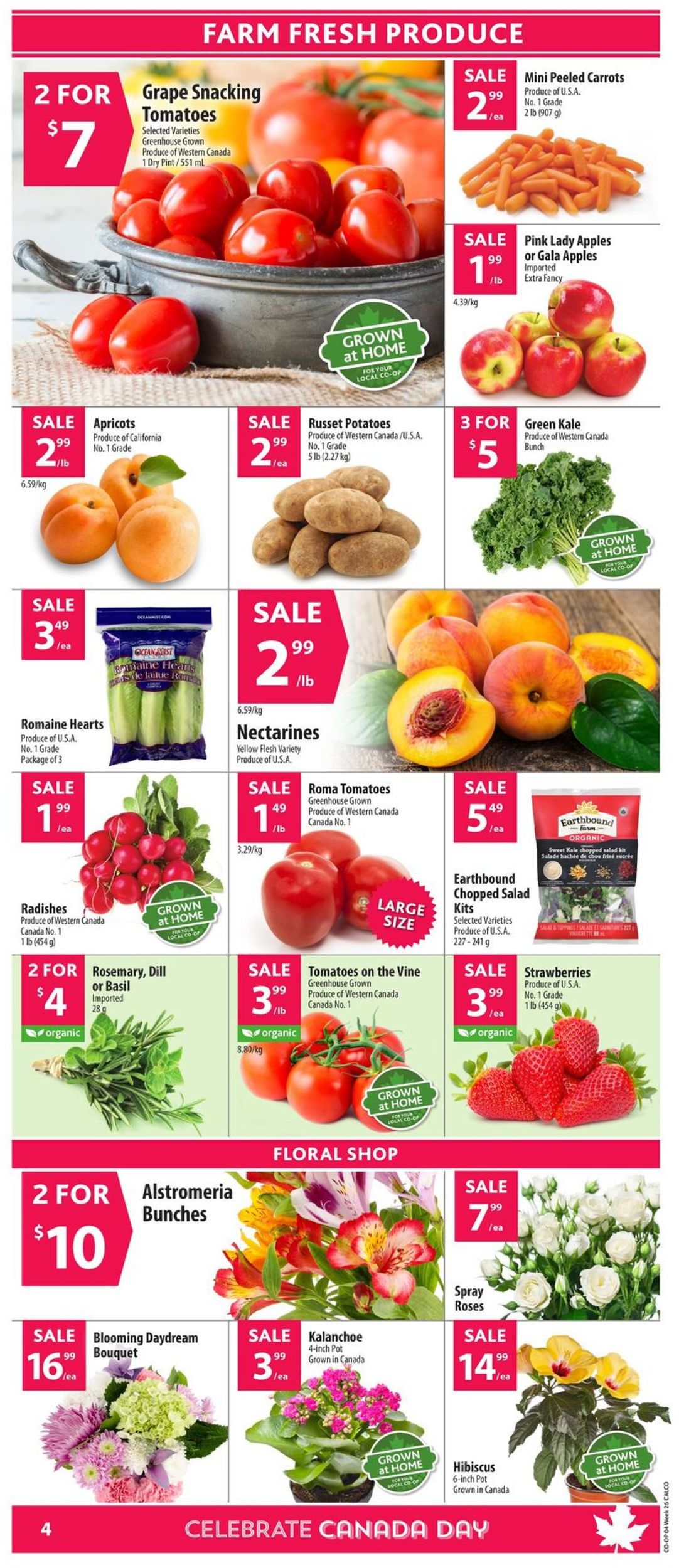 Calgary Co-op Flyer - 06/20-06/26/2019 (Page 6)