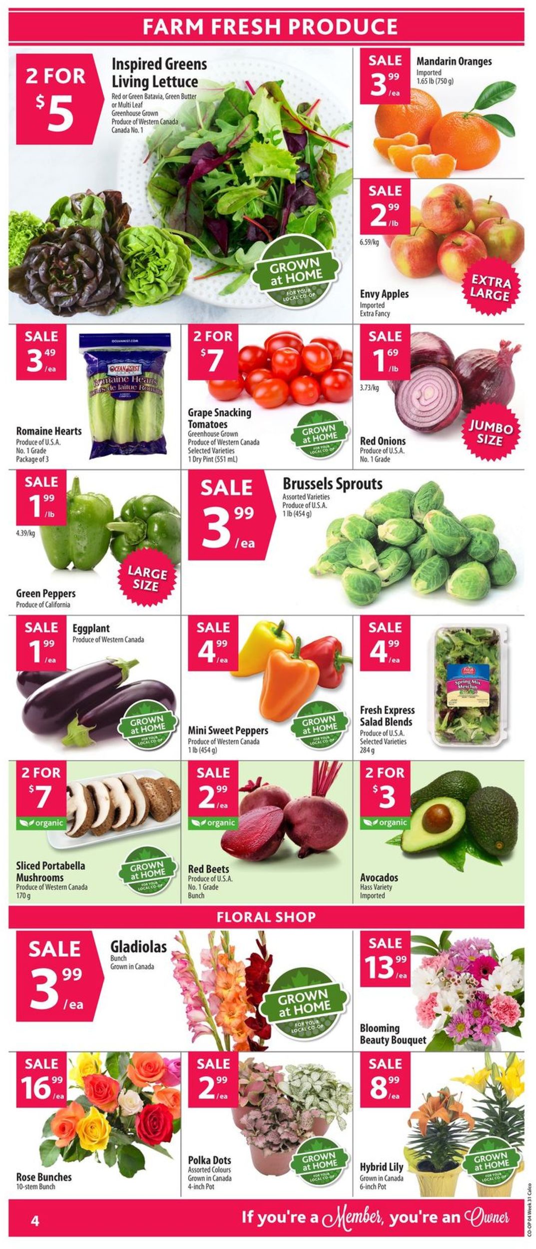 Calgary Co-op Flyer - 07/25-07/31/2019 (Page 5)
