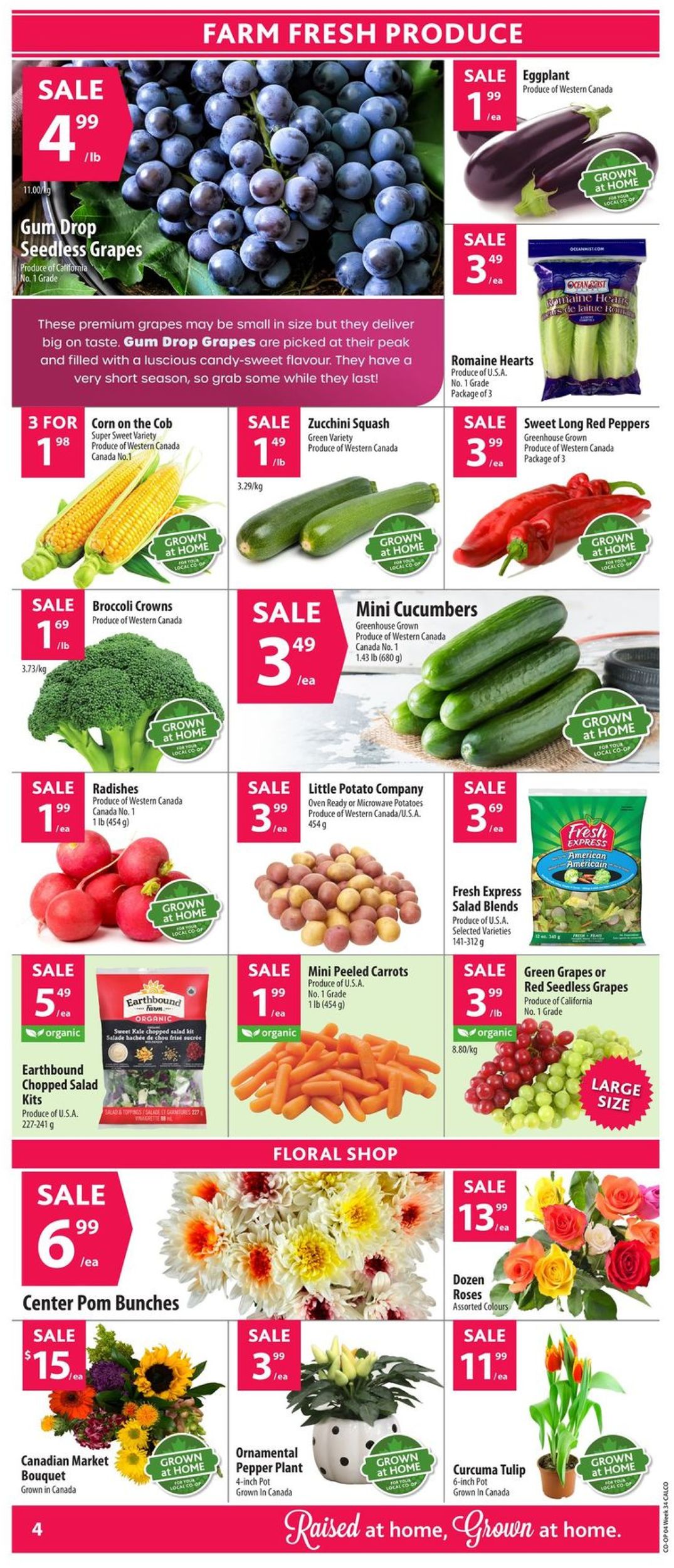 Calgary Co-op Flyer - 08/15-08/21/2019 (Page 6)
