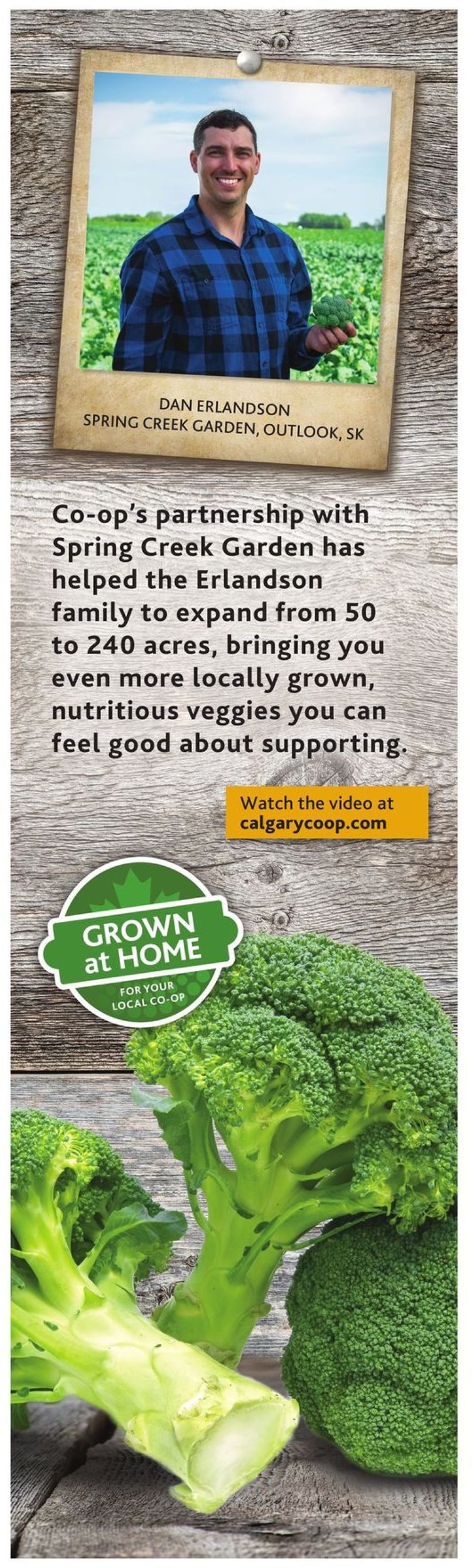 Calgary Co-op Flyer - 08/15-08/21/2019 (Page 7)