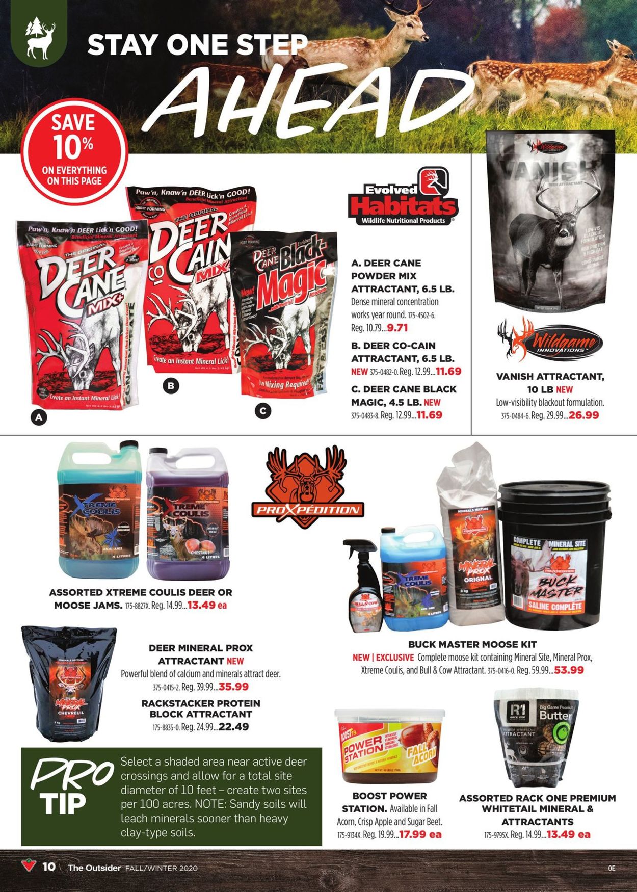 Canadian Tire Flyer - 09/03-09/30/2020 (Page 10)