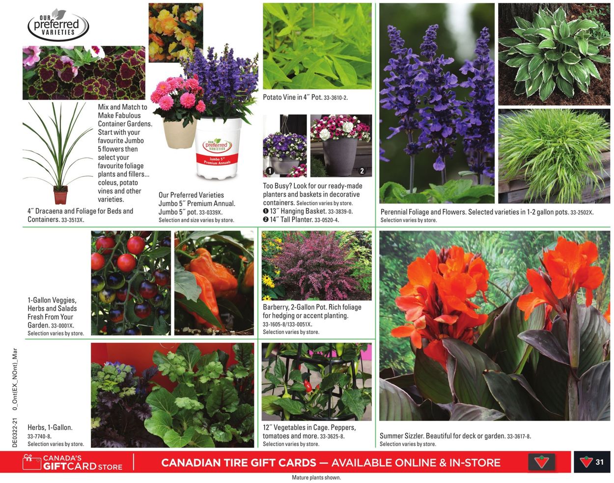 Canadian Tire Flyer - 05/27-06/02/2021 (Page 37)
