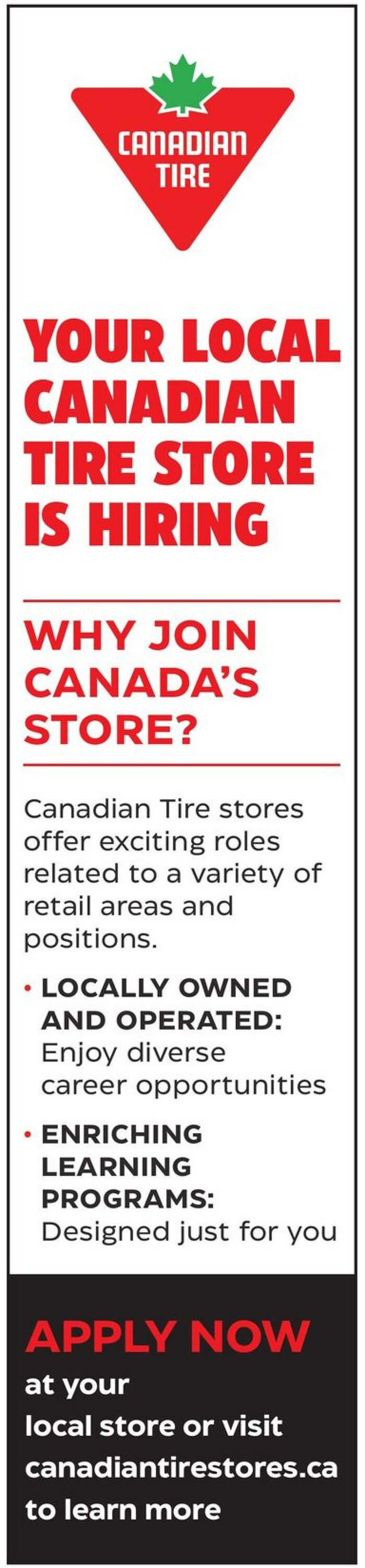 Canadian Tire Flyer - 10/27-11/02/2022 (Page 33)