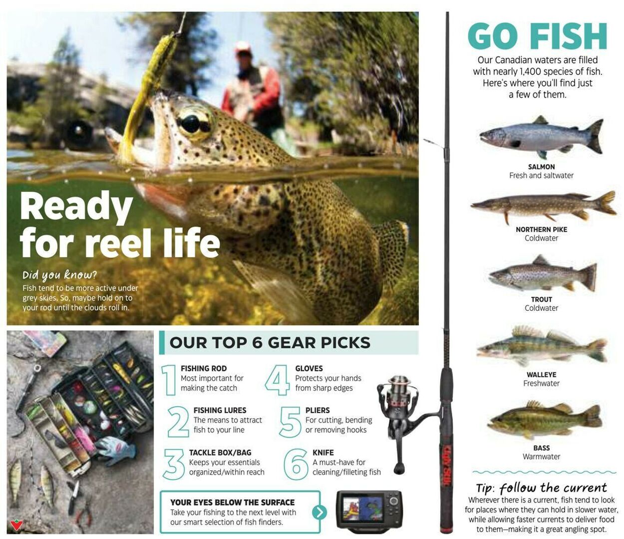 Canadian Tire Flyer - 06/15-07/05/2023 (Page 7)