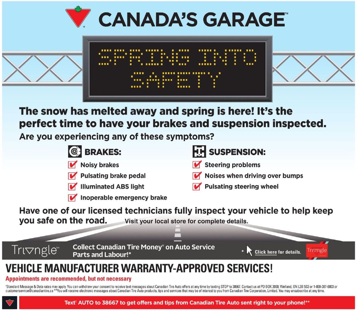 Canadian Tire Flyer - 05/10-05/16/2019 (Page 29)