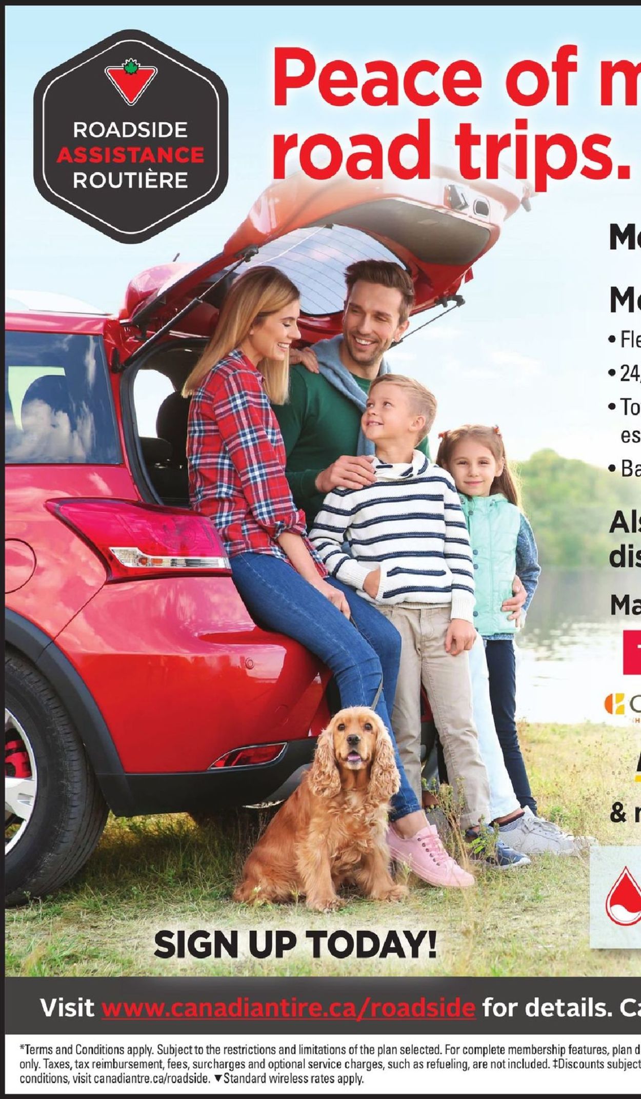 Canadian Tire Flyer - 05/16-05/23/2019 (Page 29)