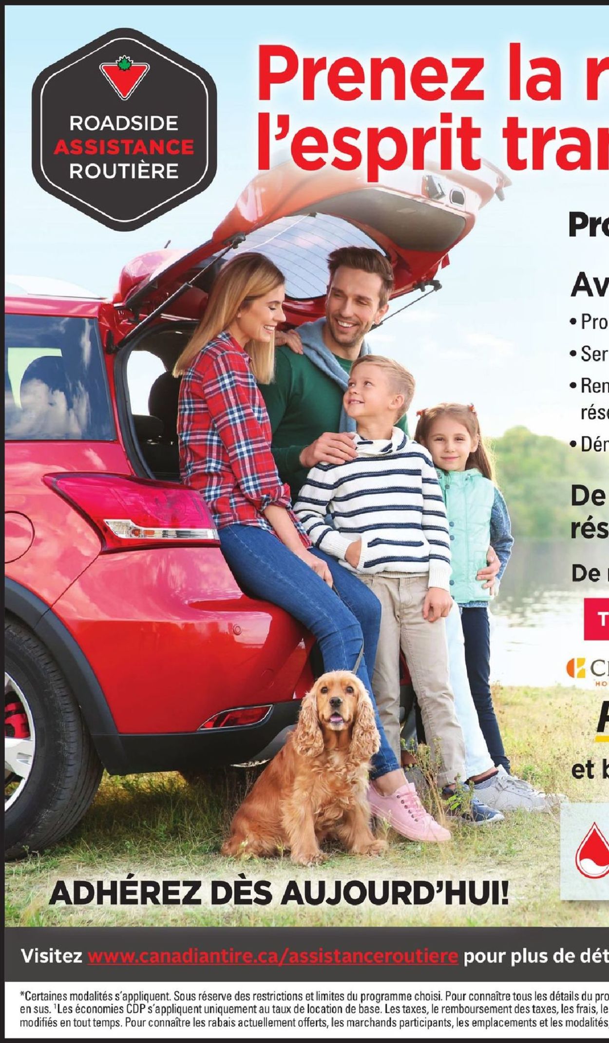 Canadian Tire Flyer - 05/16-05/22/2019 (Page 29)