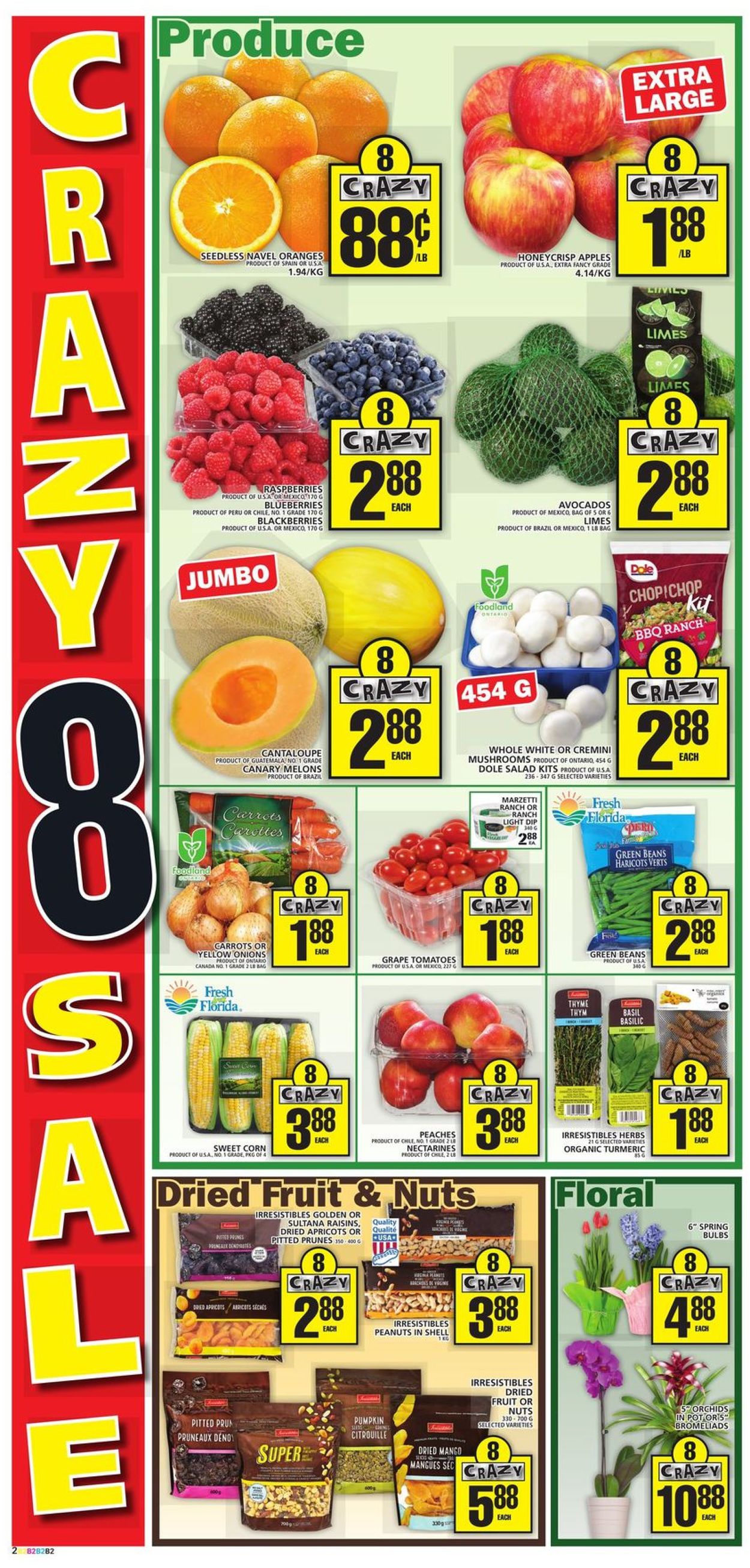 Food Basics Flyer - 01/23-01/29/2020 (Page 3)
