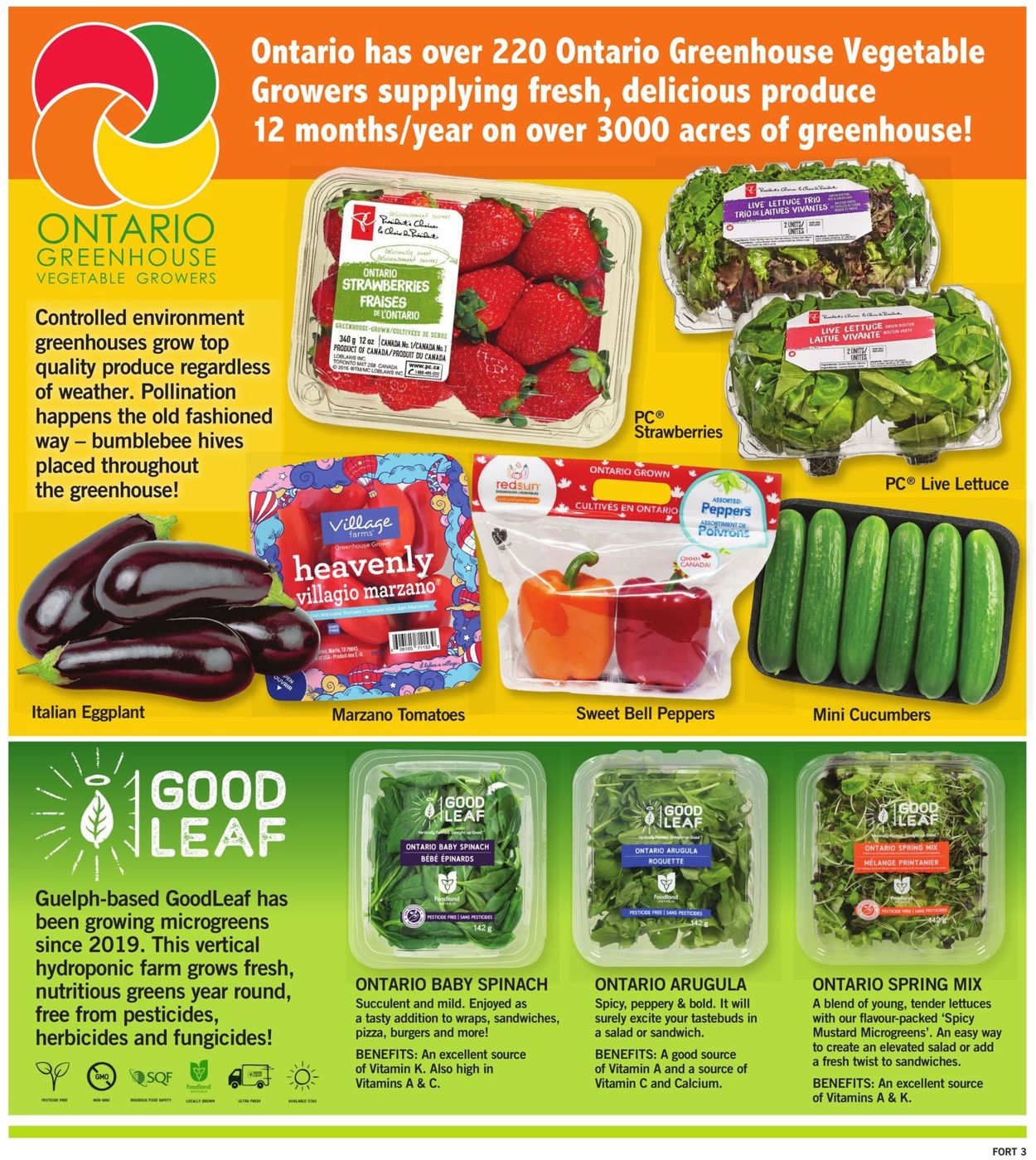 Fortinos Flyer - 03/24-03/30/2022 (Page 4)