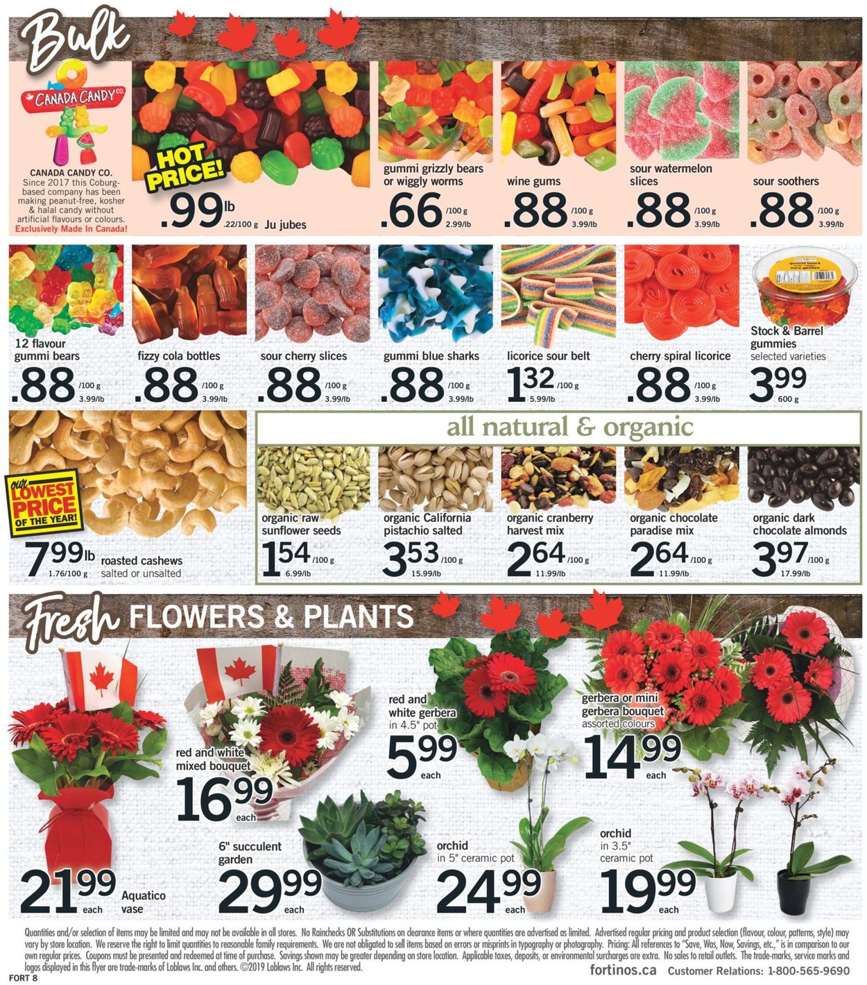 Fortinos Flyer - 06/27-07/01/2019 (Page 9)