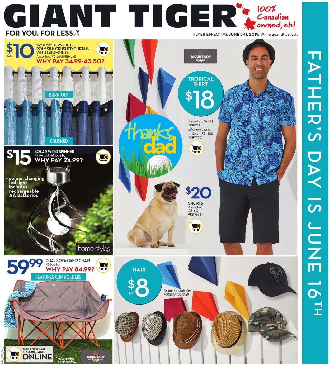 Giant Tiger Flyer - 06/05-06/11/2019 (Page 4)