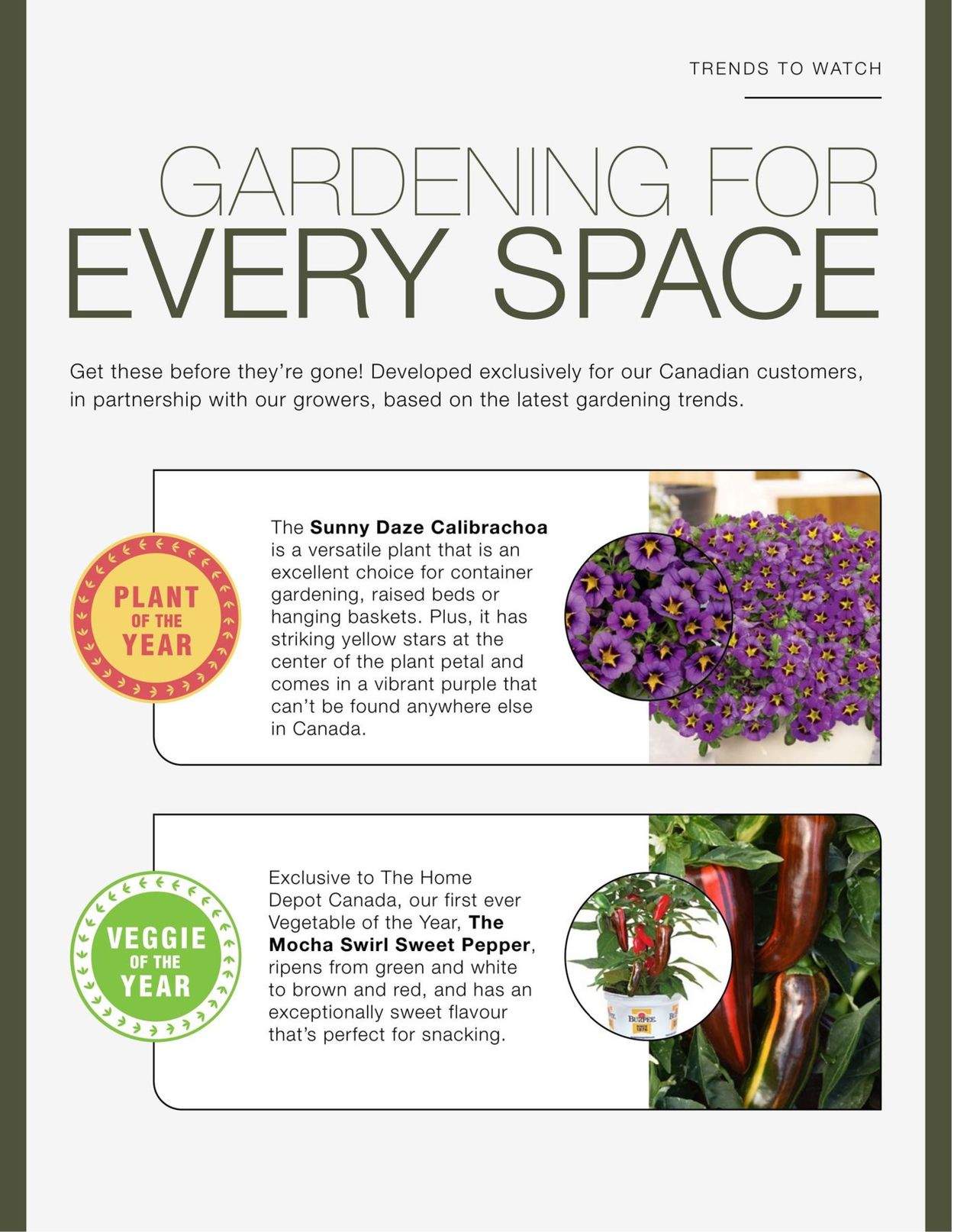 Home Depot Flyer - 02/04-05/05/2021 (Page 20)