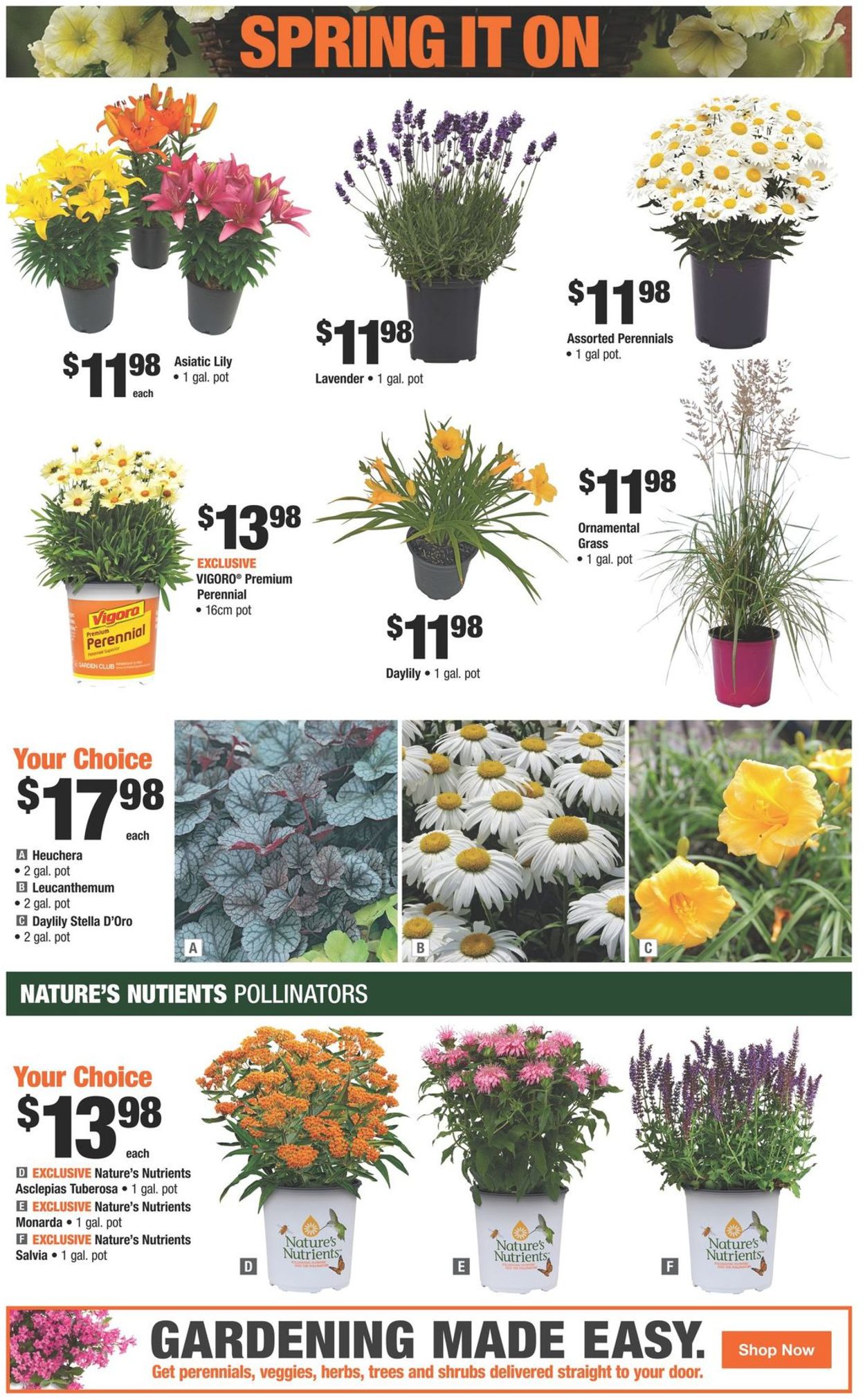 Home Depot Flyer - 05/19-05/25/2022 (Page 6)