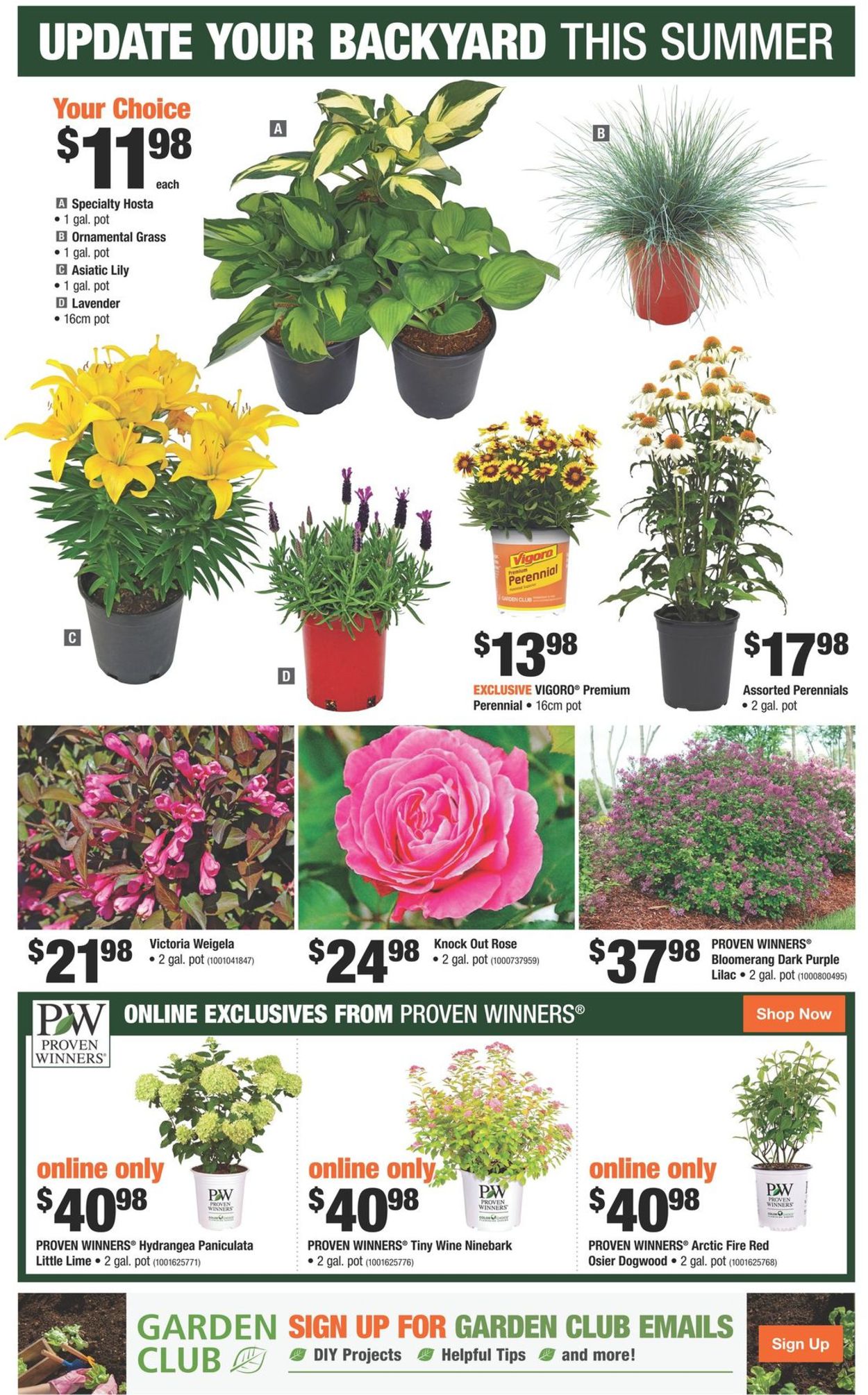 Home Depot Flyer - 06/09-06/15/2022 (Page 15)