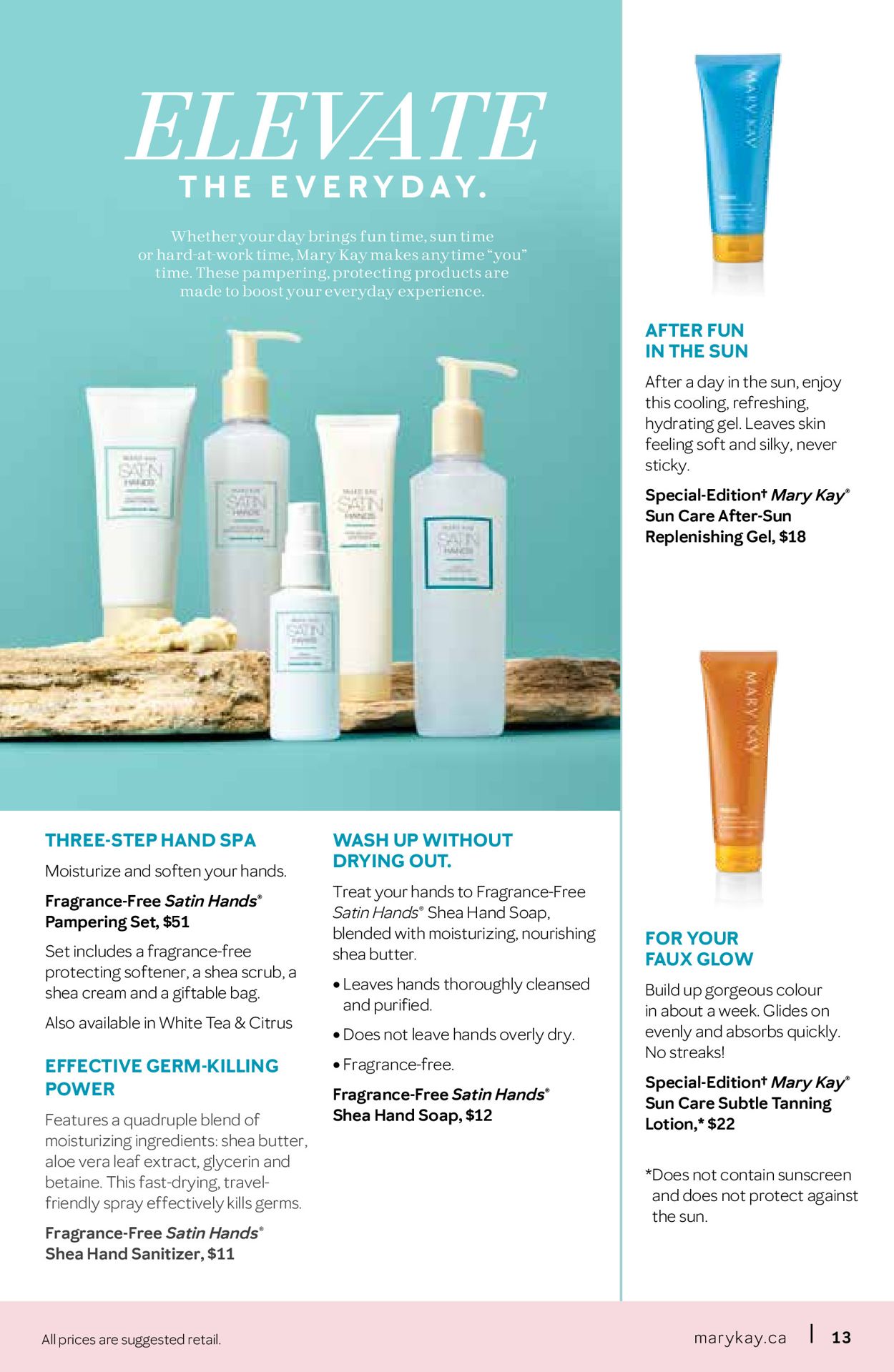 Mary Kay Flyer - 02/16-04/16/2021 (Page 13)