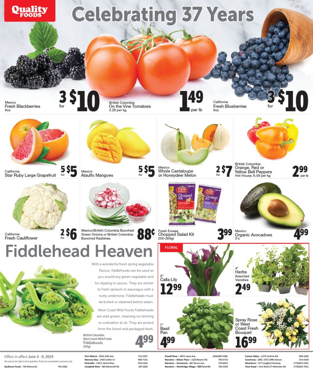 Quality Foods Flyer - 06/03-06/09/2019 (Page 8)