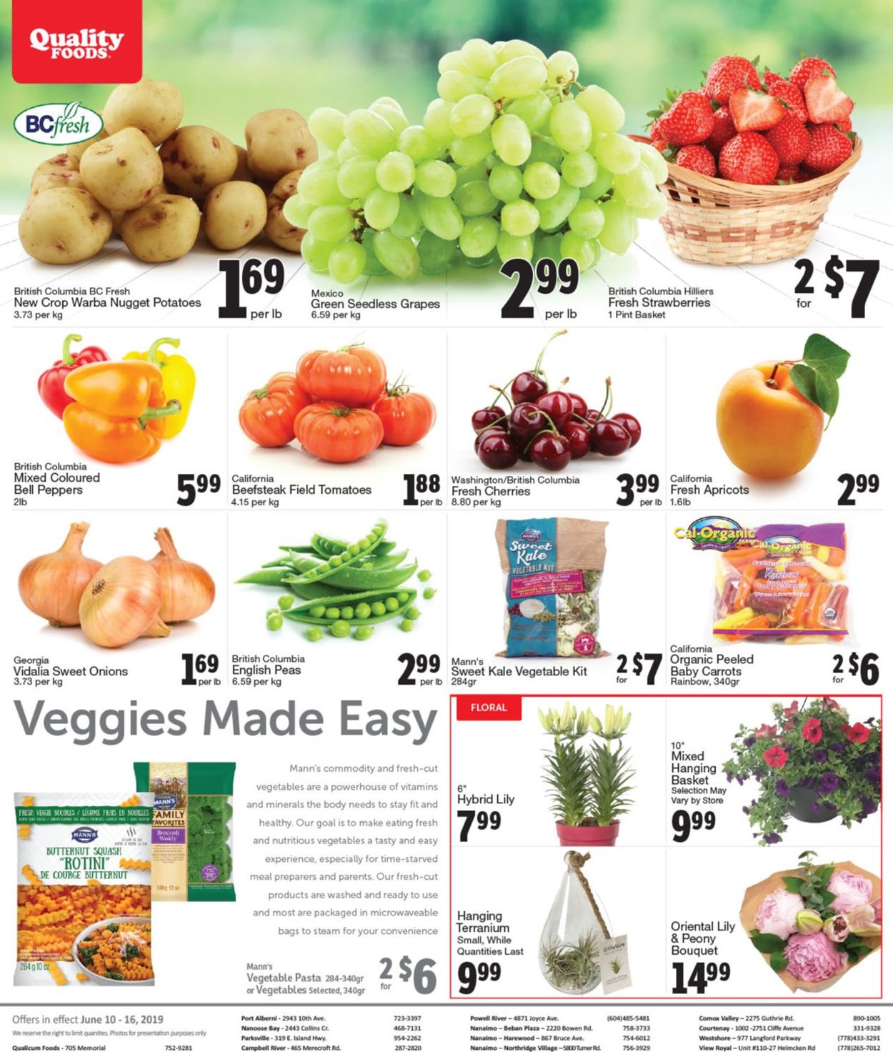 Quality Foods Flyer - 06/10-06/16/2019 (Page 9)