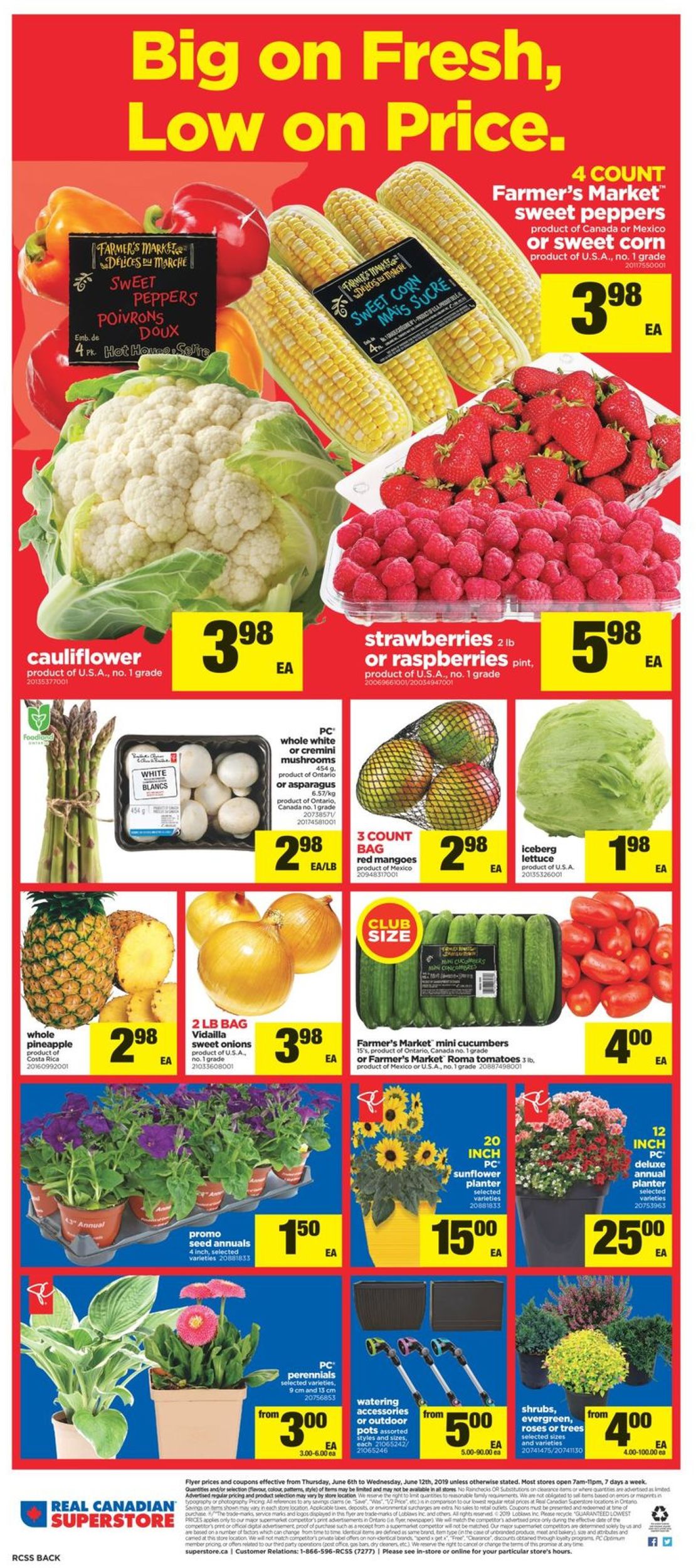 Real Canadian Superstore Flyer - 06/06-06/12/2019 (Page 17)