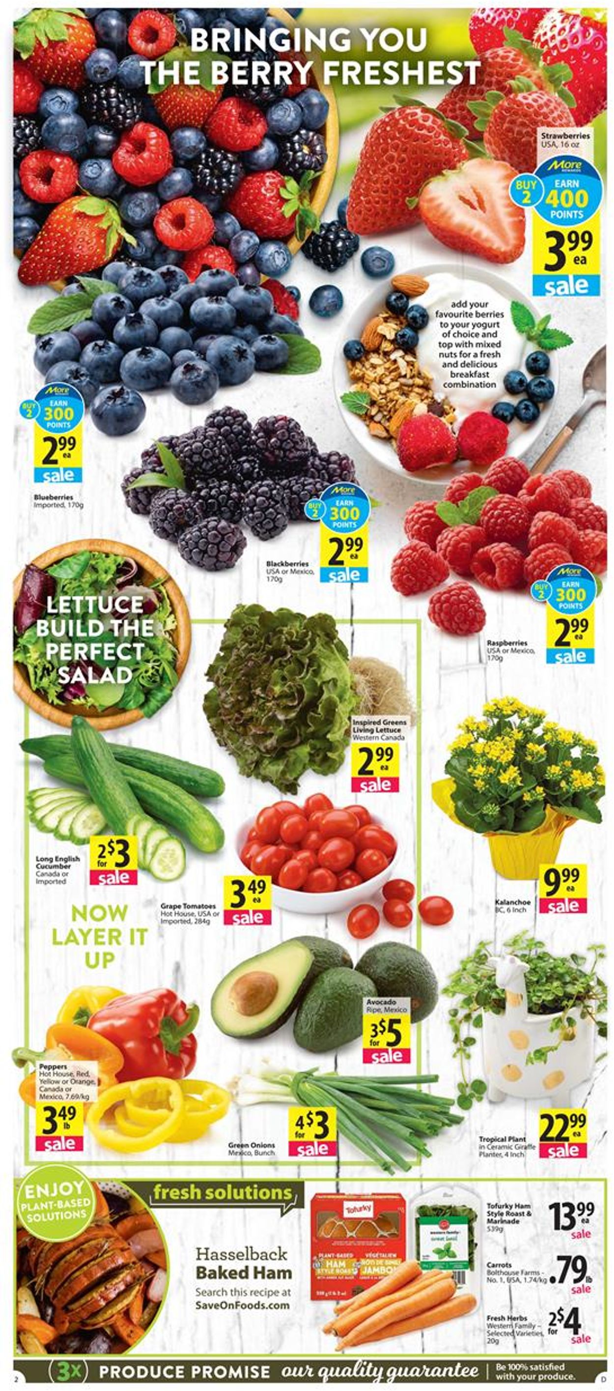 Save-On-Foods Flyer - 03/26-04/01/2020 (Page 2)