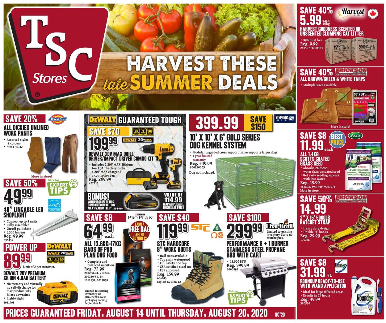 TSC Stores Flyer - 08/14-08/20/2020 (Page 5)