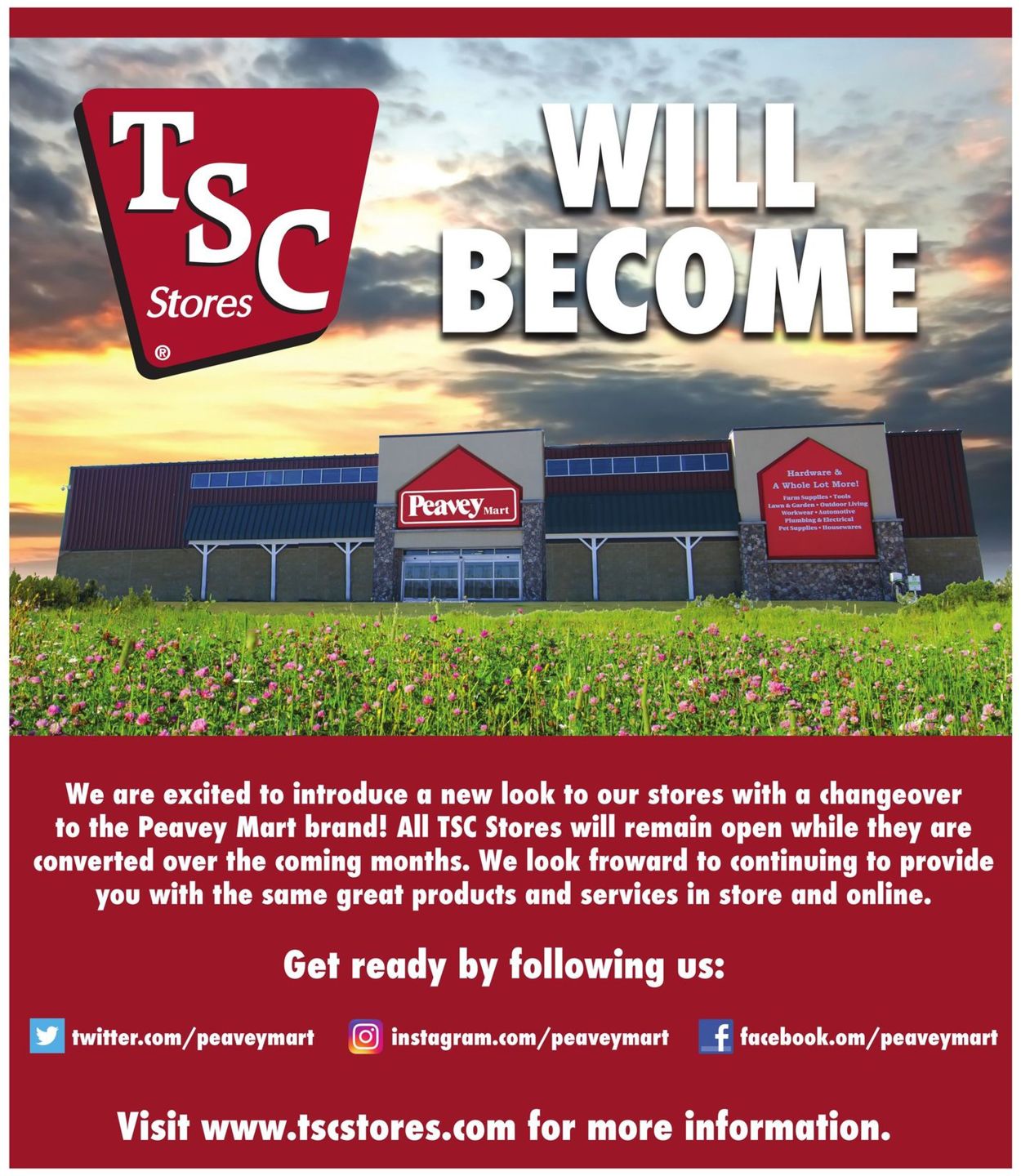 TSC Stores - Boxing Week 2020 Flyer - 12/24-12/30/2020 (Page 2)