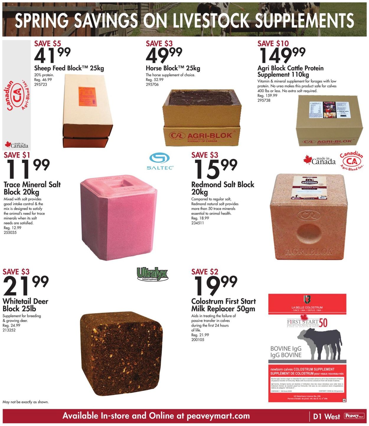 TSC Stores Flyer - 05/19-05/26/2022 (Page 13)
