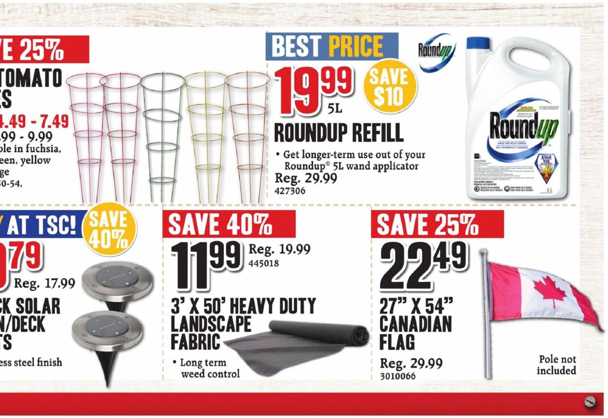 TSC Stores Flyer - 05/31-06/06/2019 (Page 5)