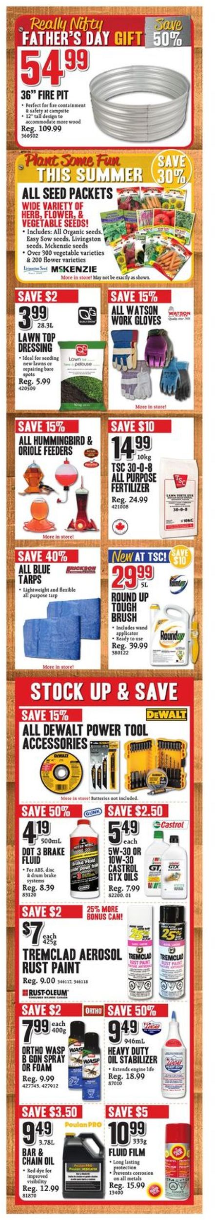 TSC Stores Flyer - 06/07-06/13/2019 (Page 3)