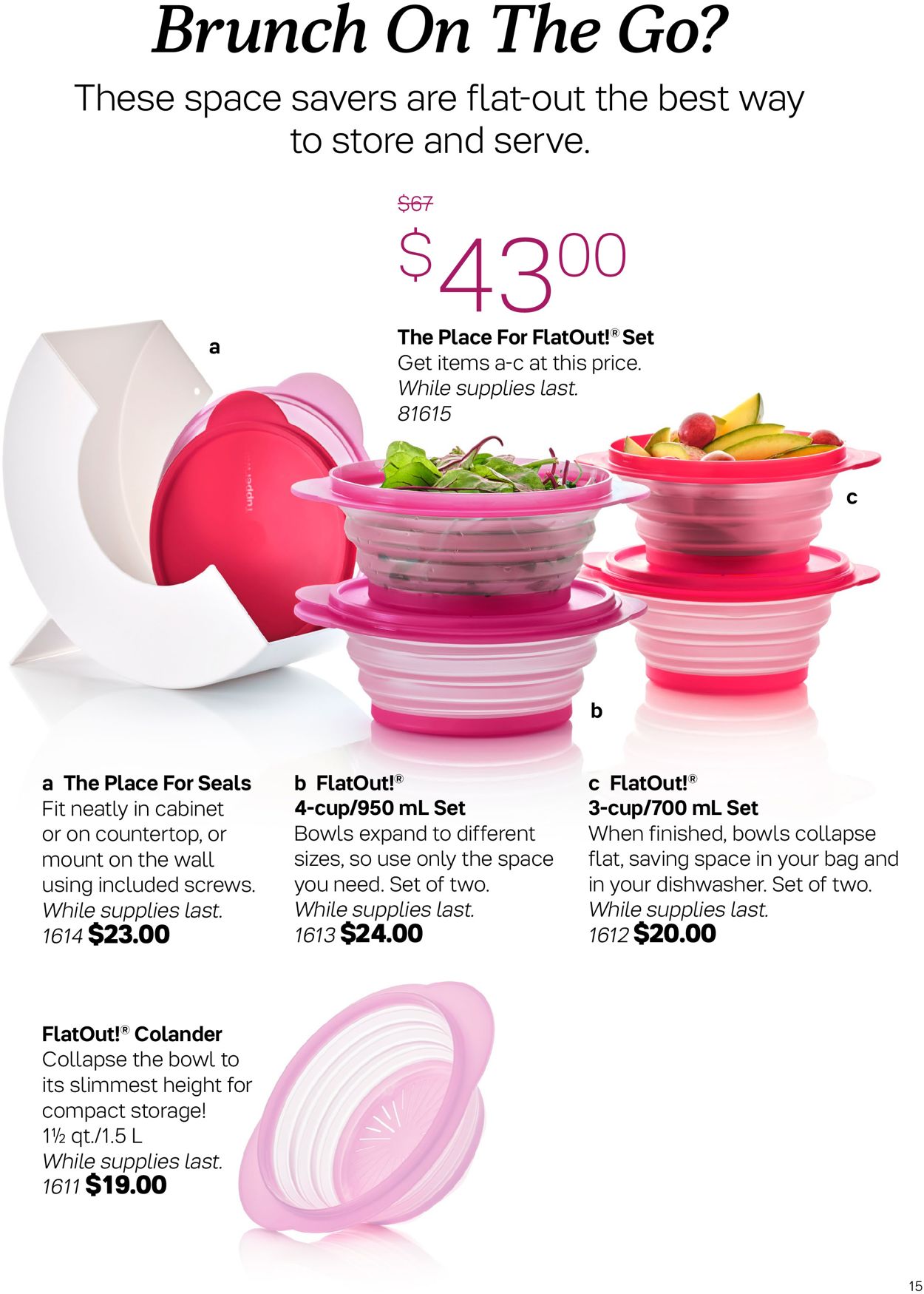 Tupperware Flyer - 01/28-02/24/2021 (Page 15)
