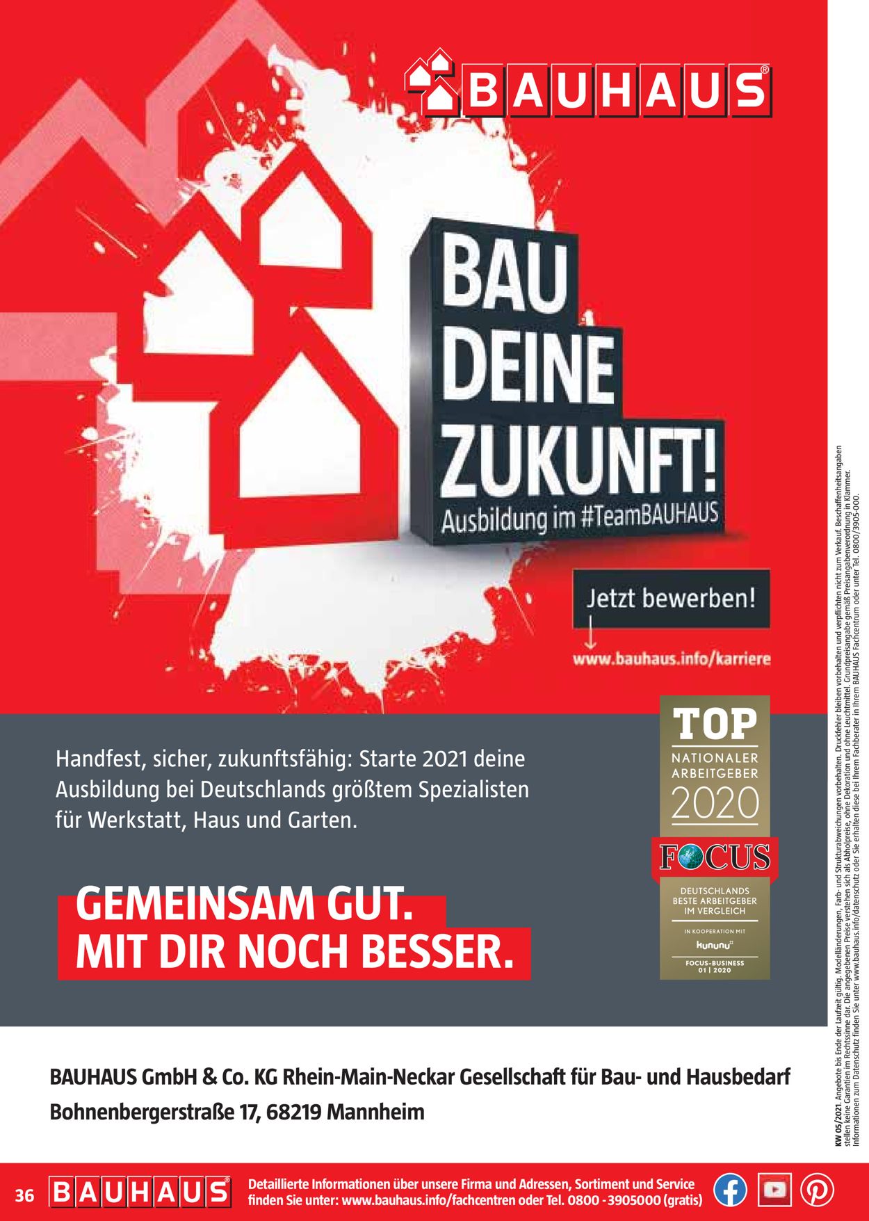 Bauhaus Prospekt - Aktuell vom 01.02-27.02.2021 (Seite 36)
