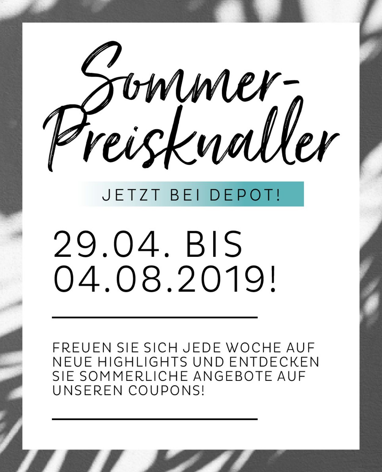 Depot Prospekt - Aktuell vom 26.06-31.08.2019 (Seite 2)