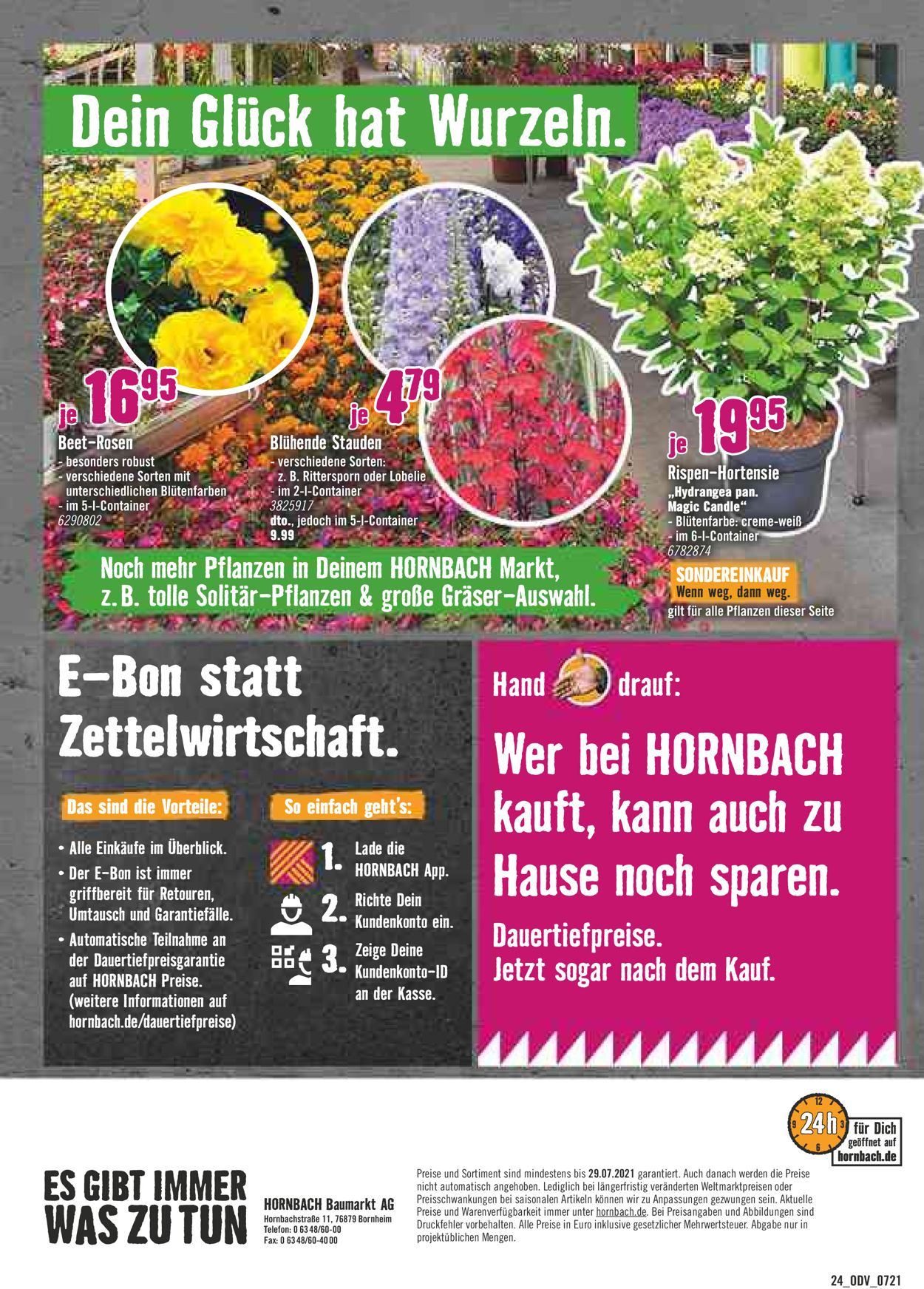 Hornbach Prospekt - Aktuell vom 25.06-29.07.2021 (Seite 13)