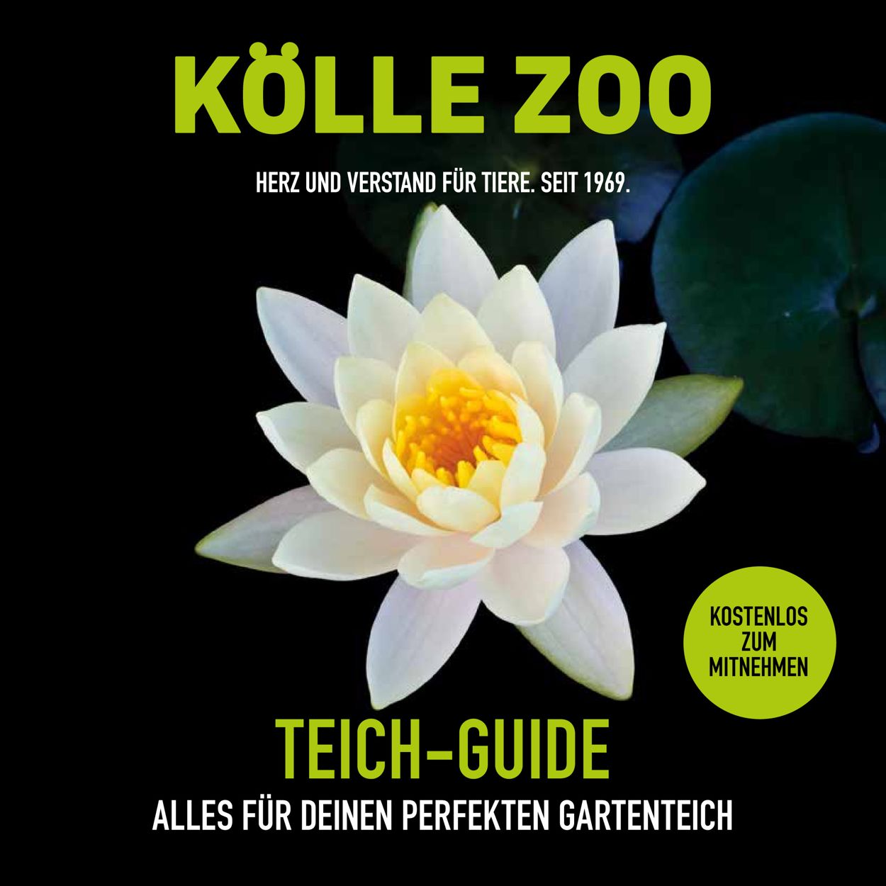Kölle Zoo Prospekt - Aktuell vom 21.03-30.06.2022