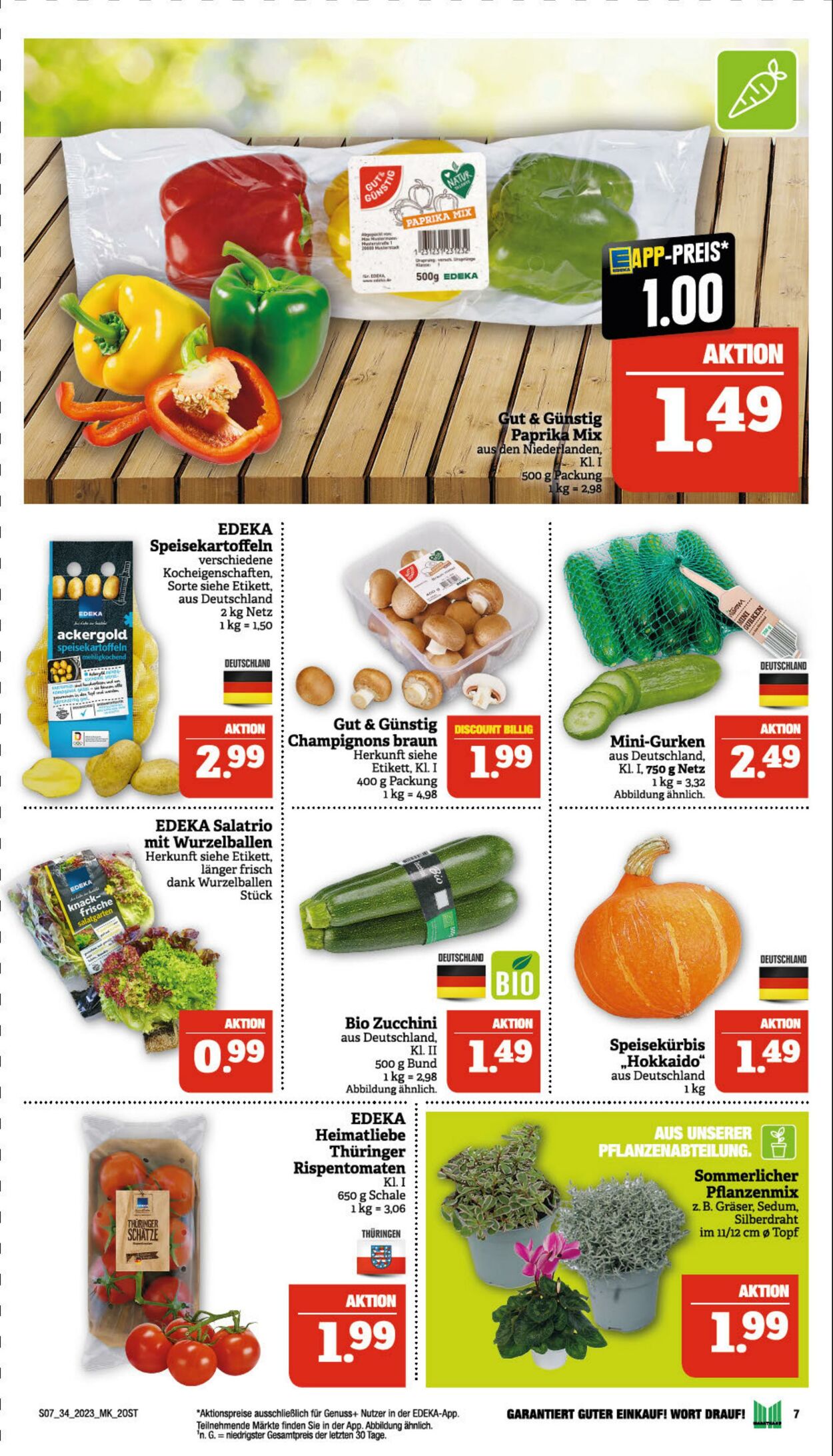 Marktkauf - Döbeln Prospekt - Aktuell vom 21.08-26.08.2023 (Seite 7)
