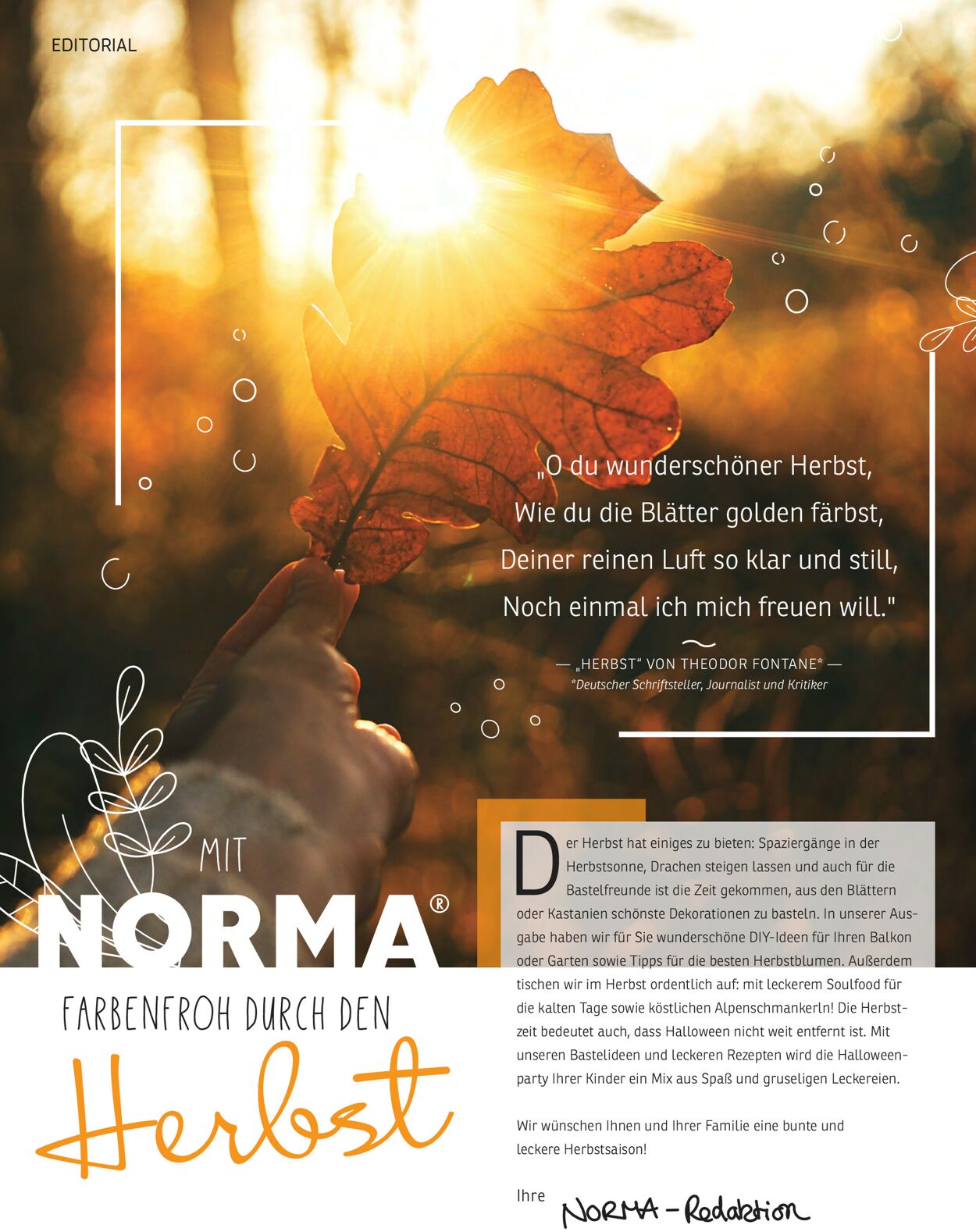 Norma Prospekt - Aktuell vom 01.09-31.10.2022 (Seite 2)