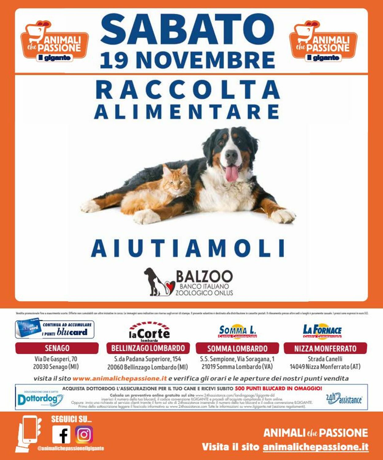 Volantino Il Gigante - Offerte 31/10-27/11/2022 (Pagina 8)