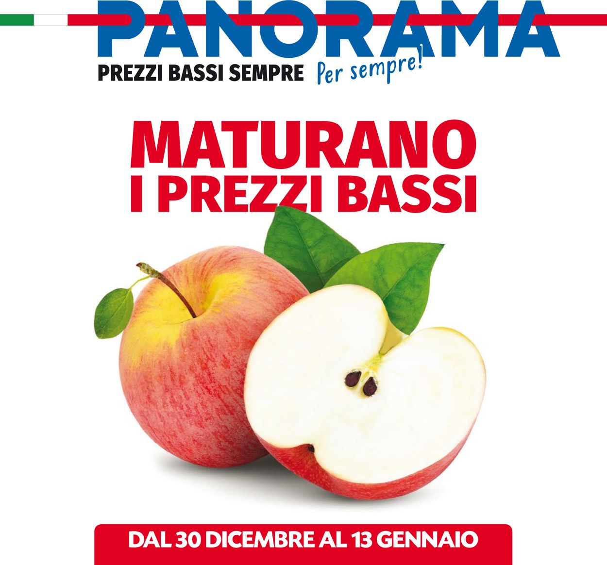 Volantino Pam Panorama - Offerte 30/12-13/01/2021