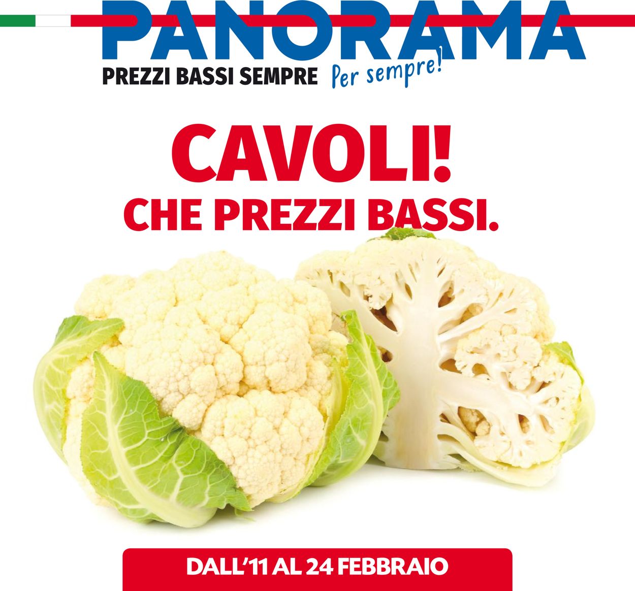 Volantino Pam Panorama - Offerte 11/02-24/02/2021