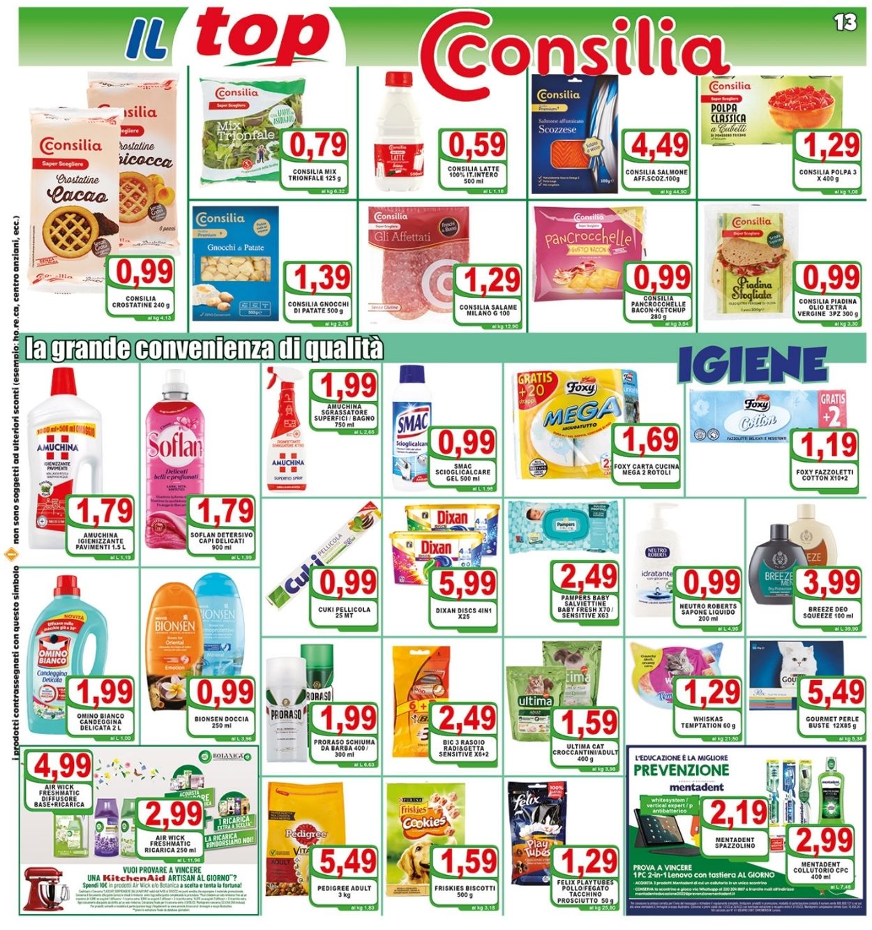 Volantino Top Supermercati - Offerte 02/03-14/03/2022 (Pagina 13)