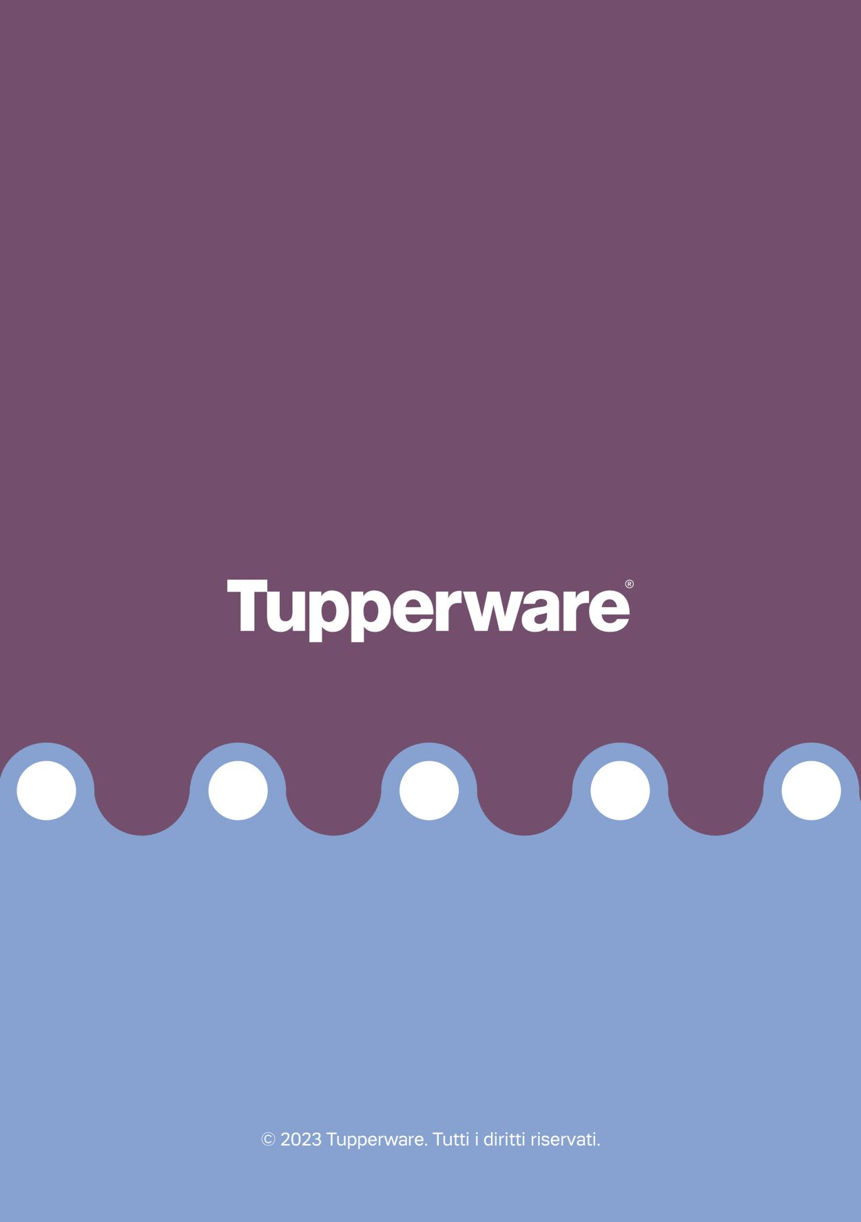 Volantino Tupperware - Offerte 24/03-30/03/2023 (Pagina 8)